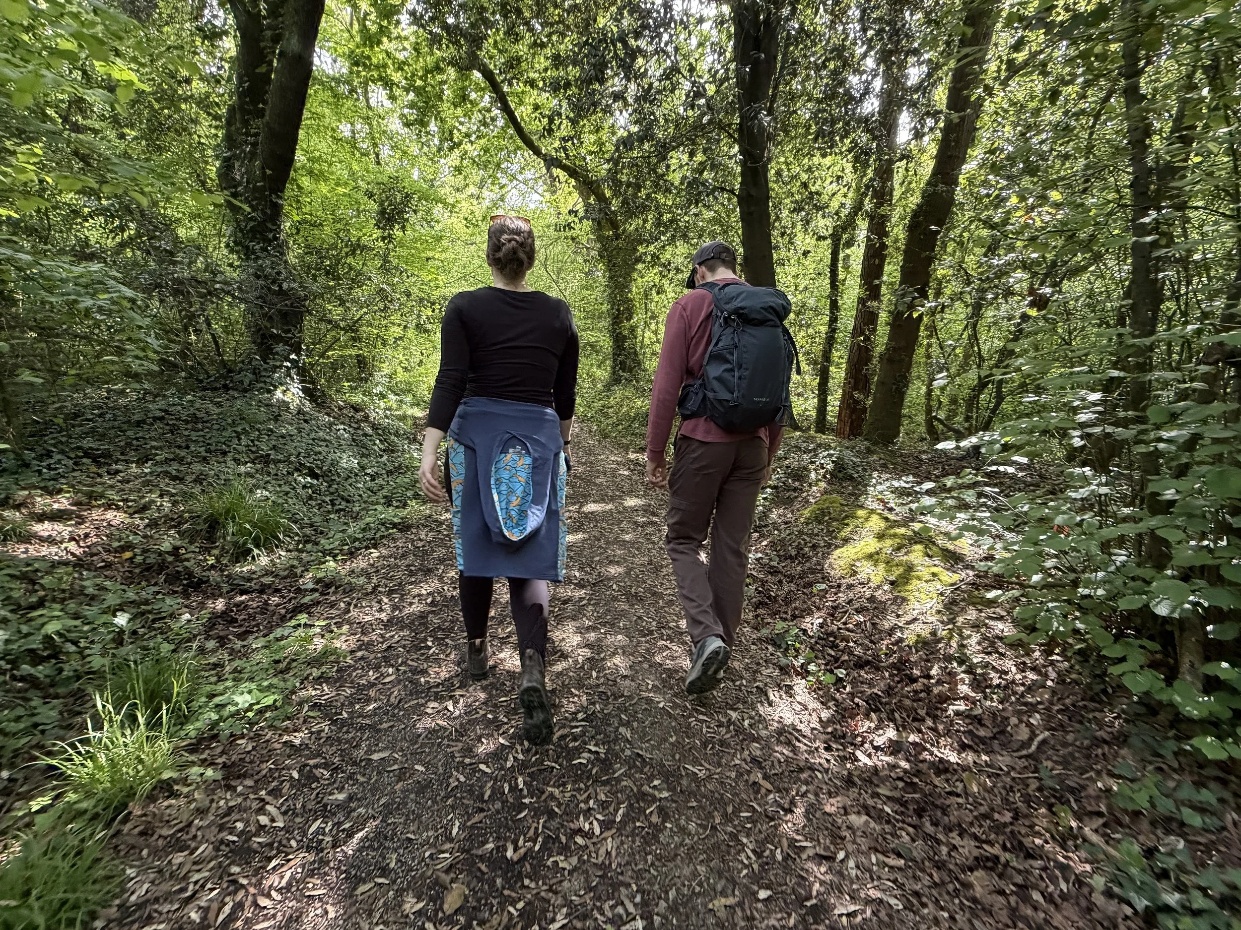   Forest bathing  