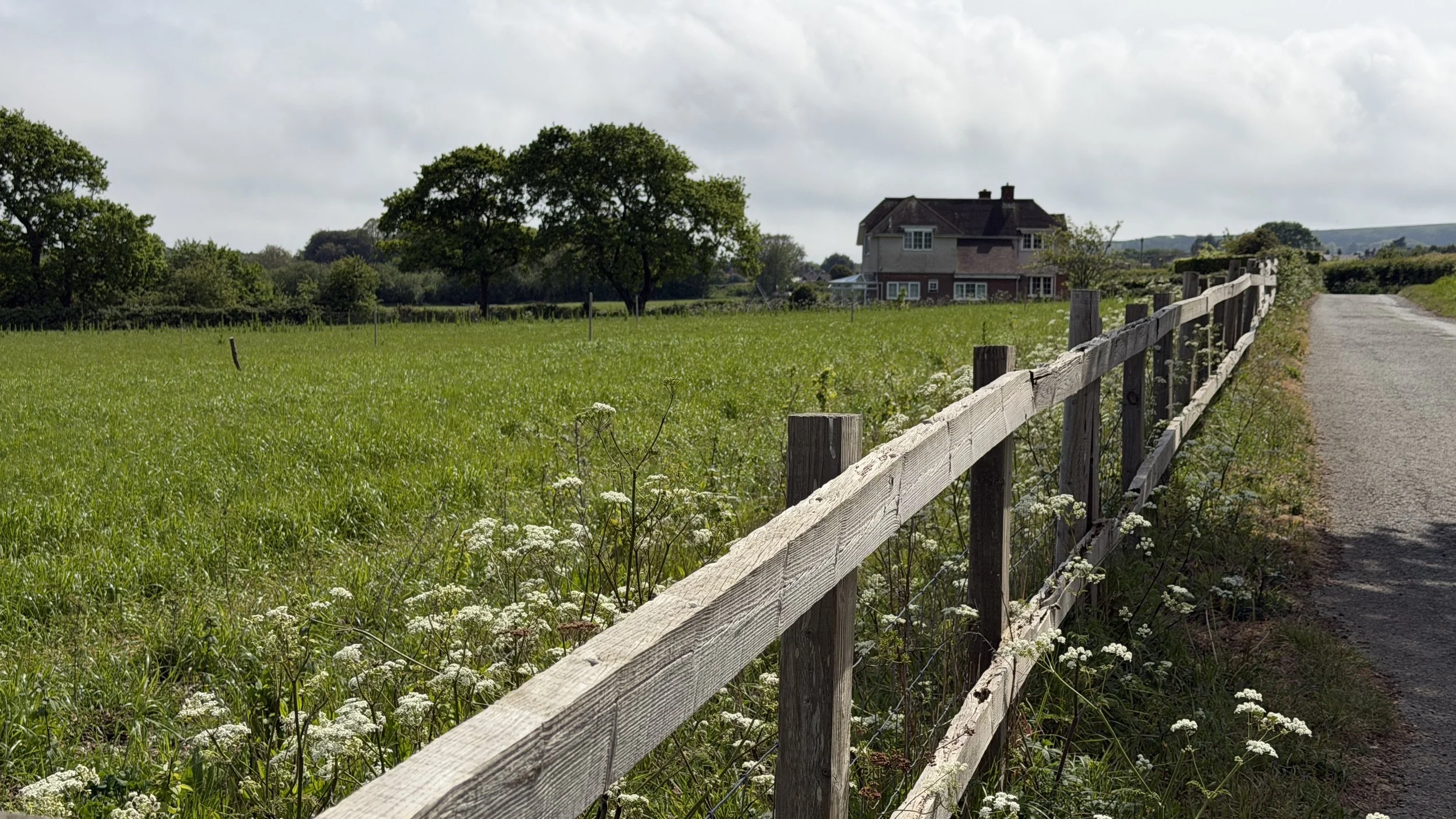   Beautiful farms  