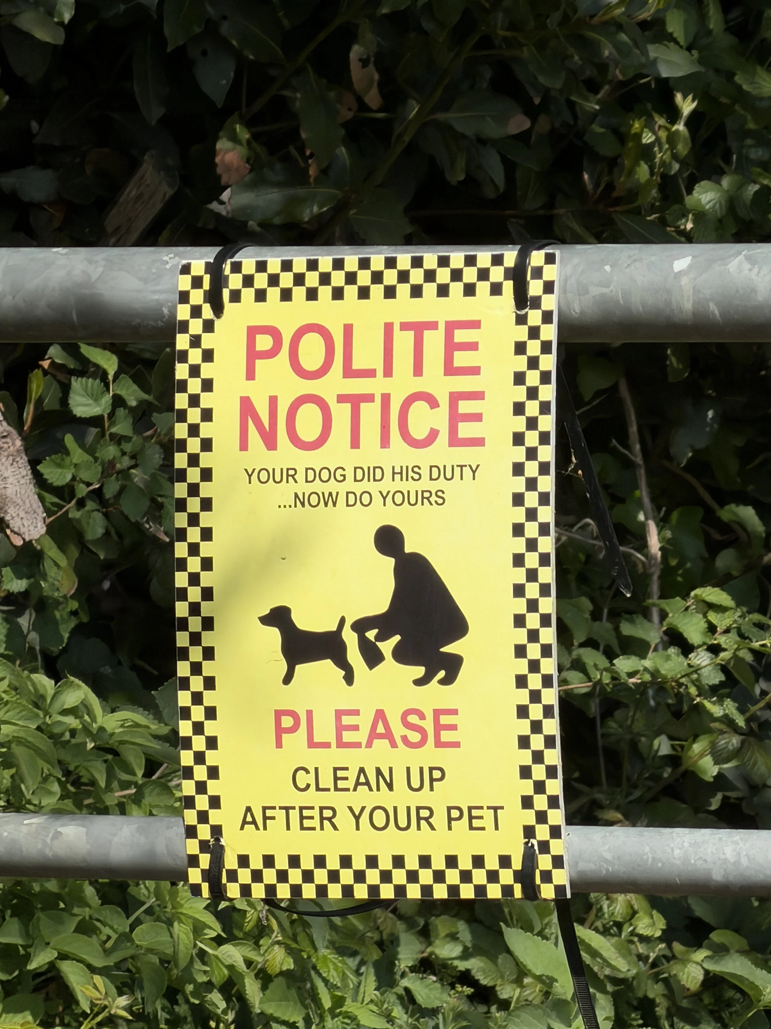   Such a polite request!  
