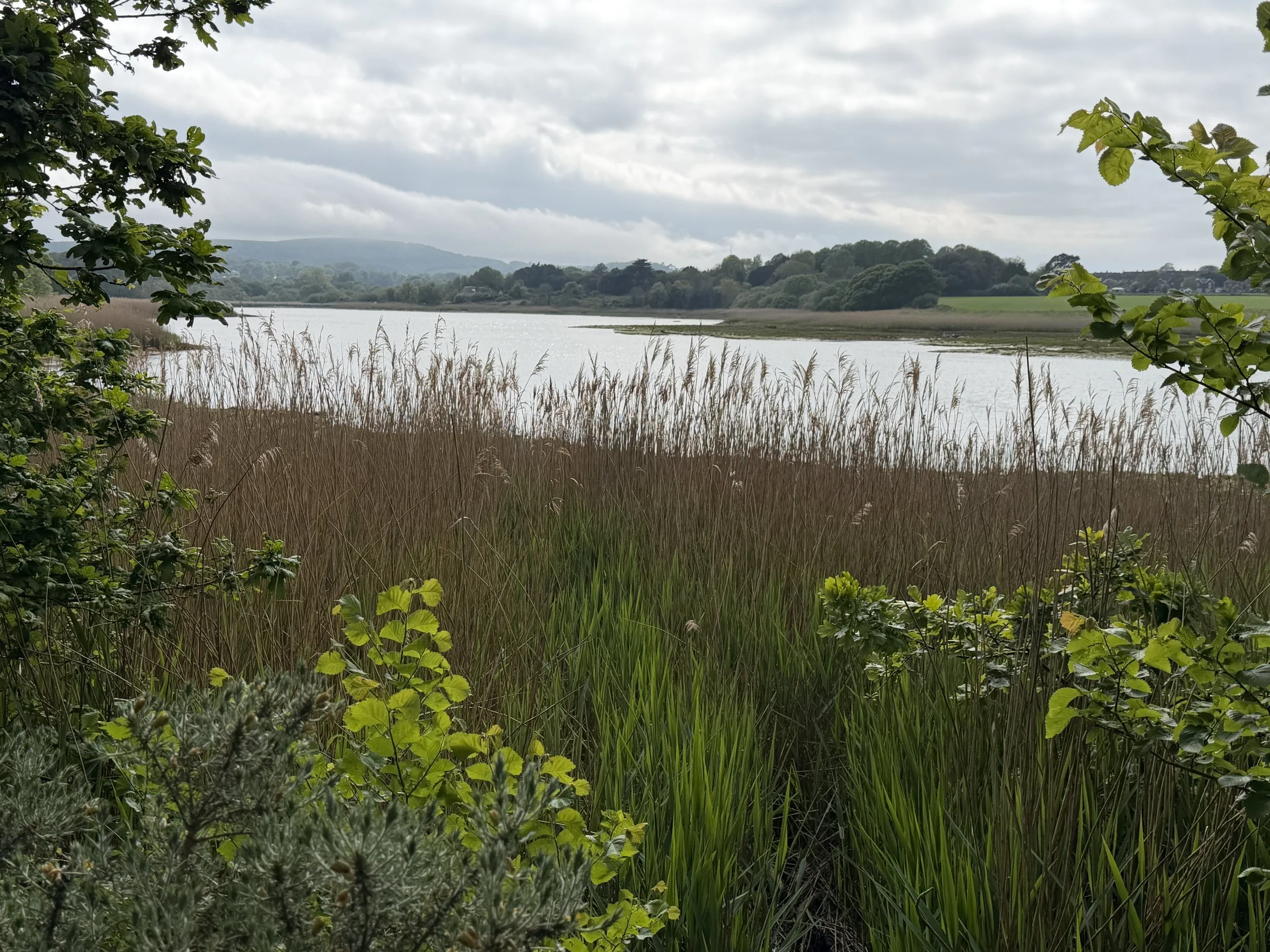   The River Yar  