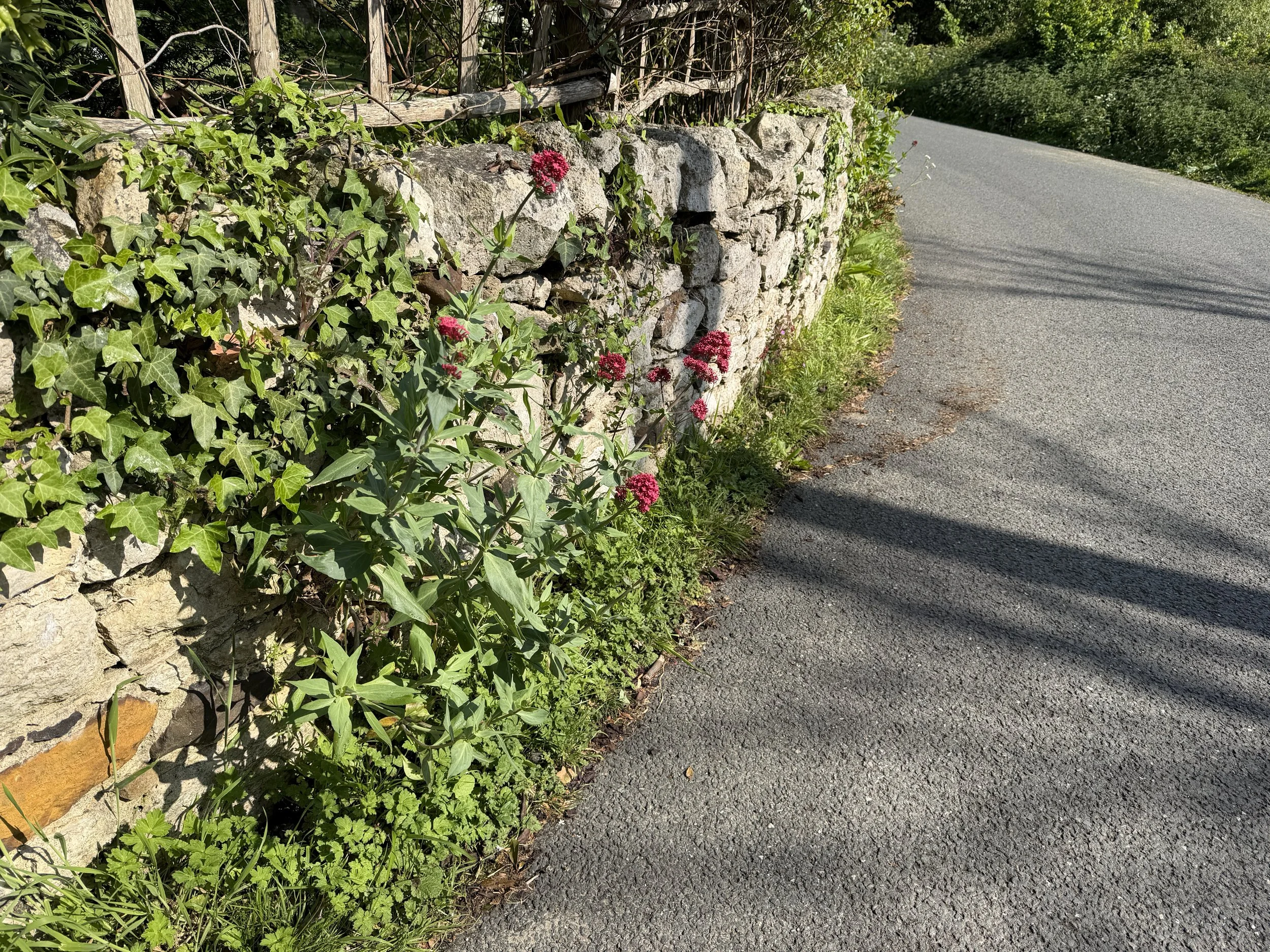   Through a small village  