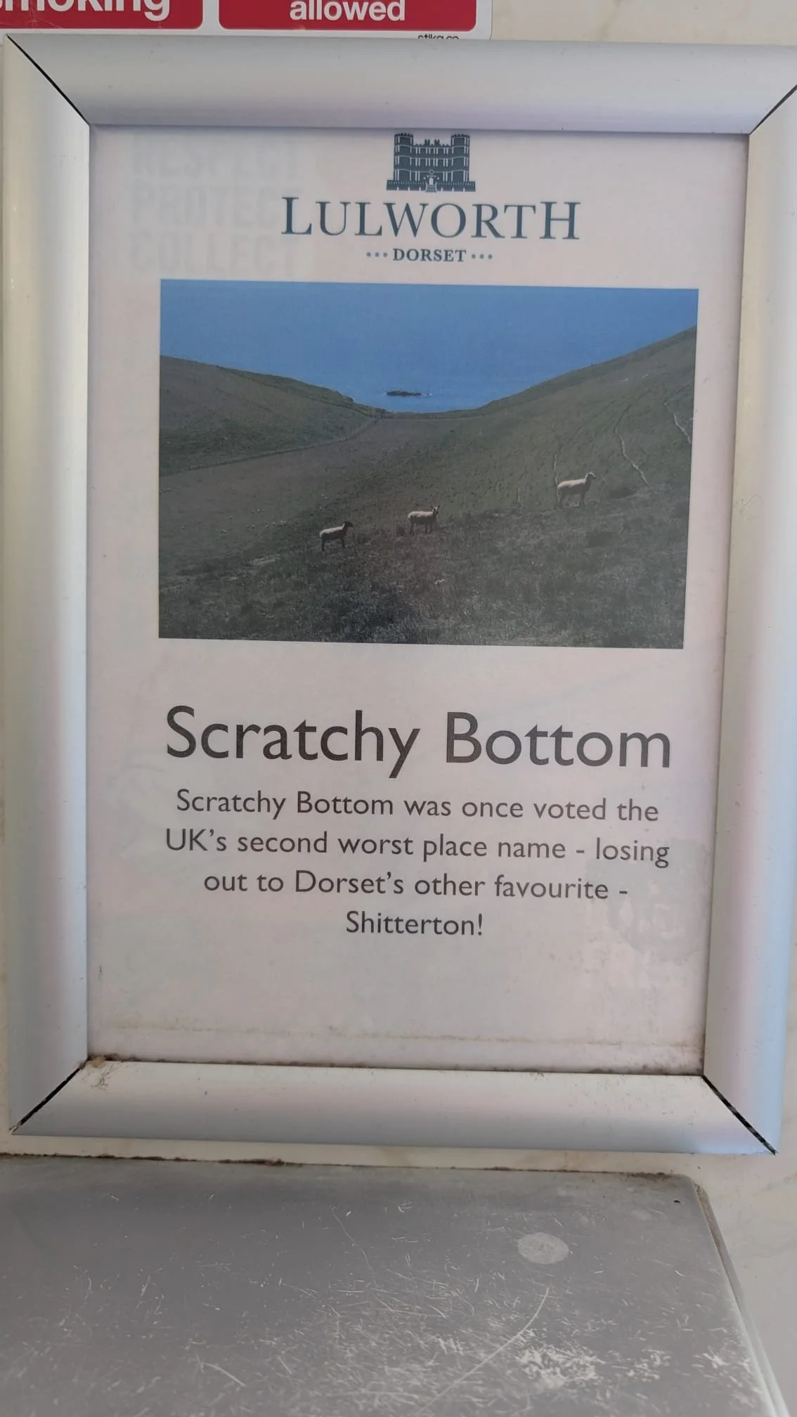   Interesting signs  