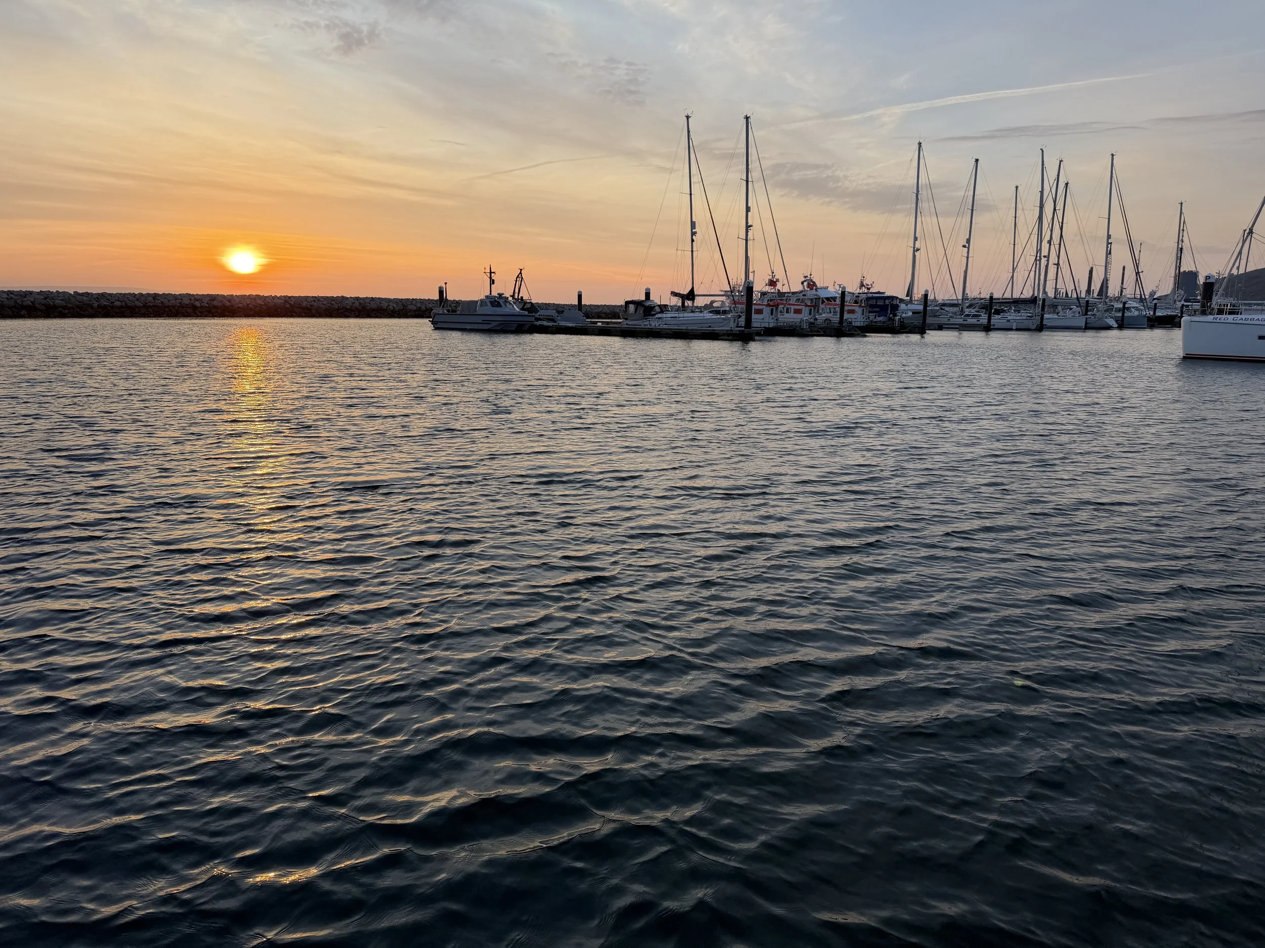 IMG_2665.JPG