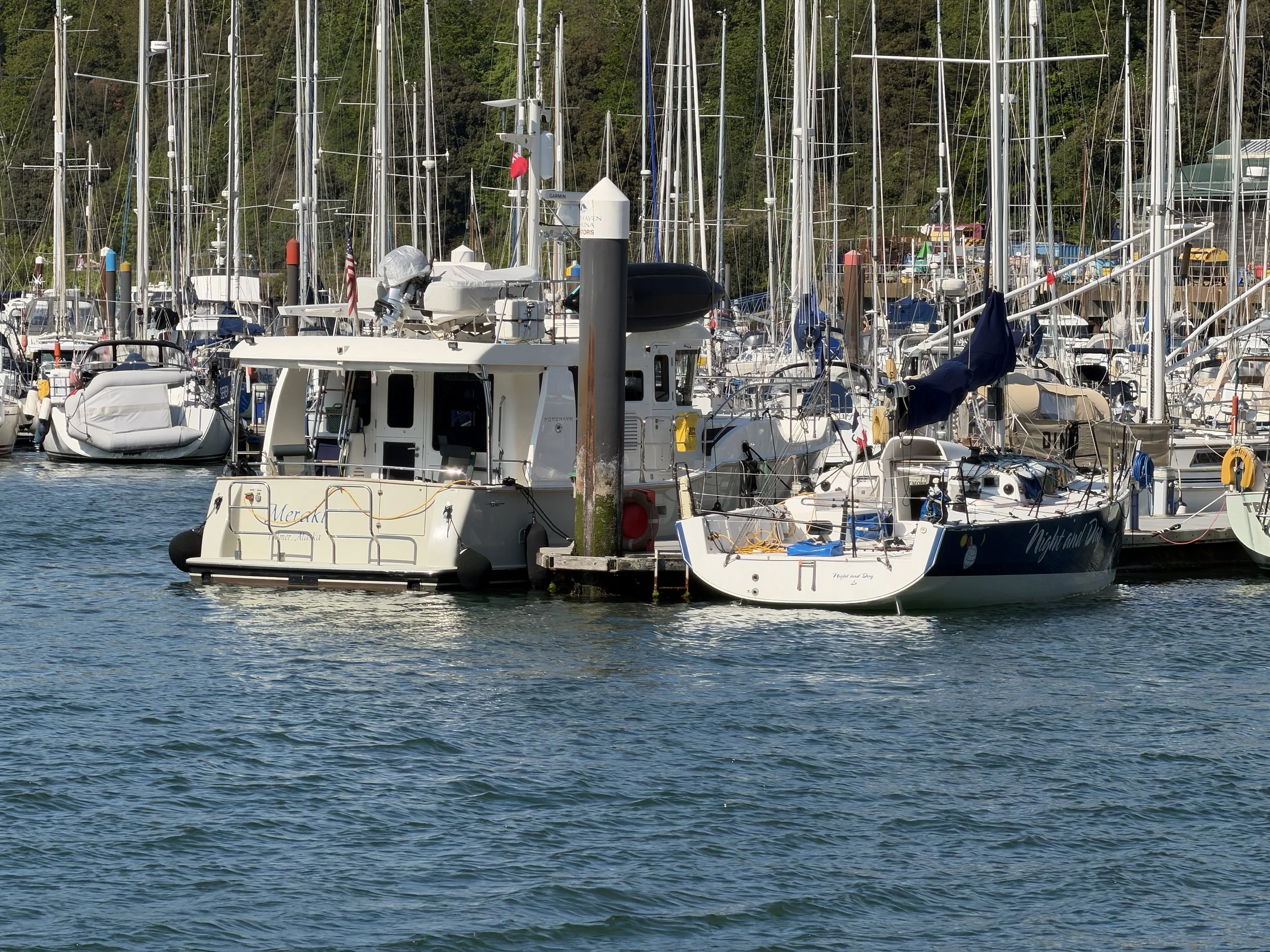   The perfect berth  