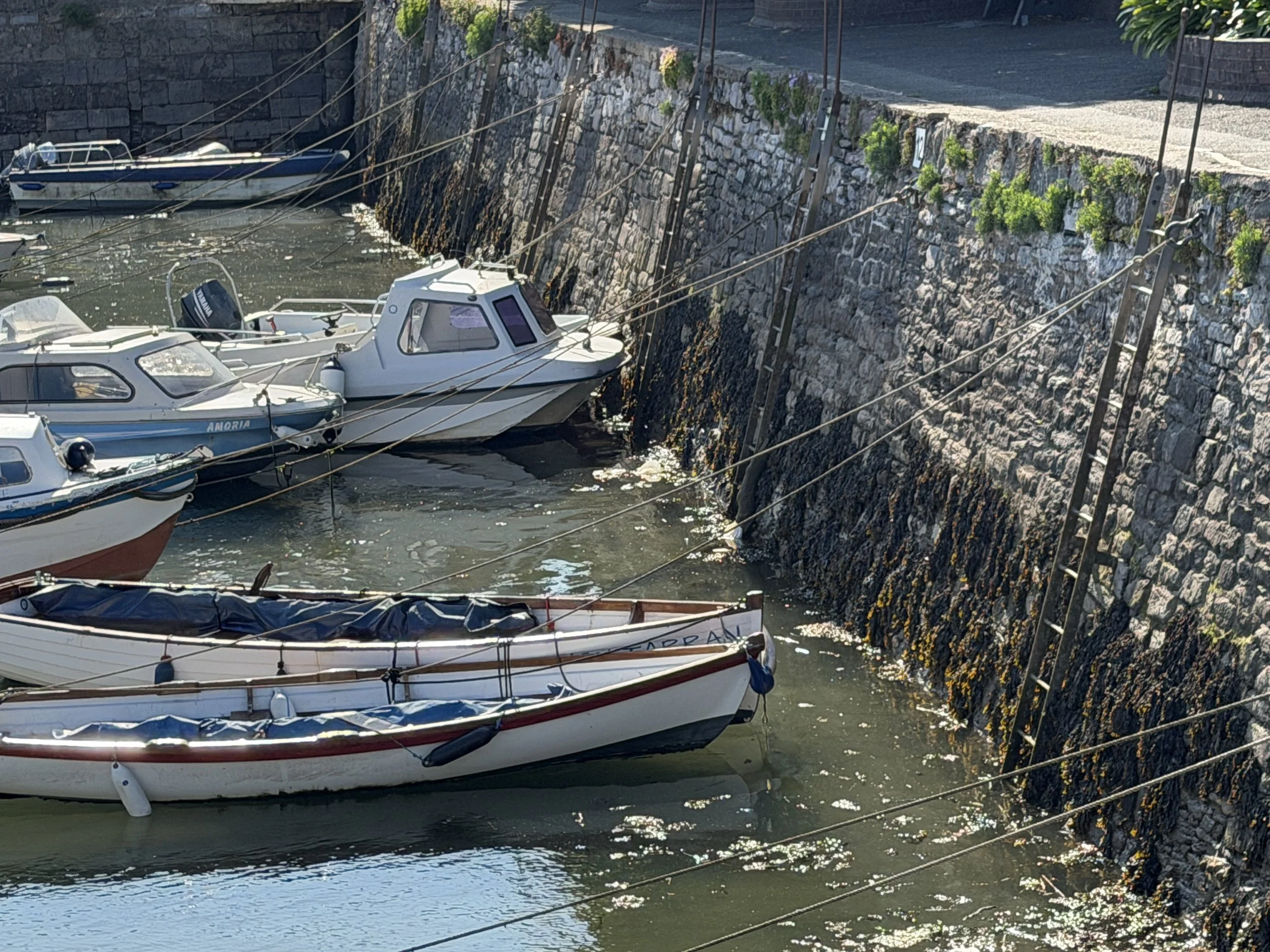   I call it ‘clothesline mooring’. Hook your boat to the line, pull yourself to the ladder, and climb off.  