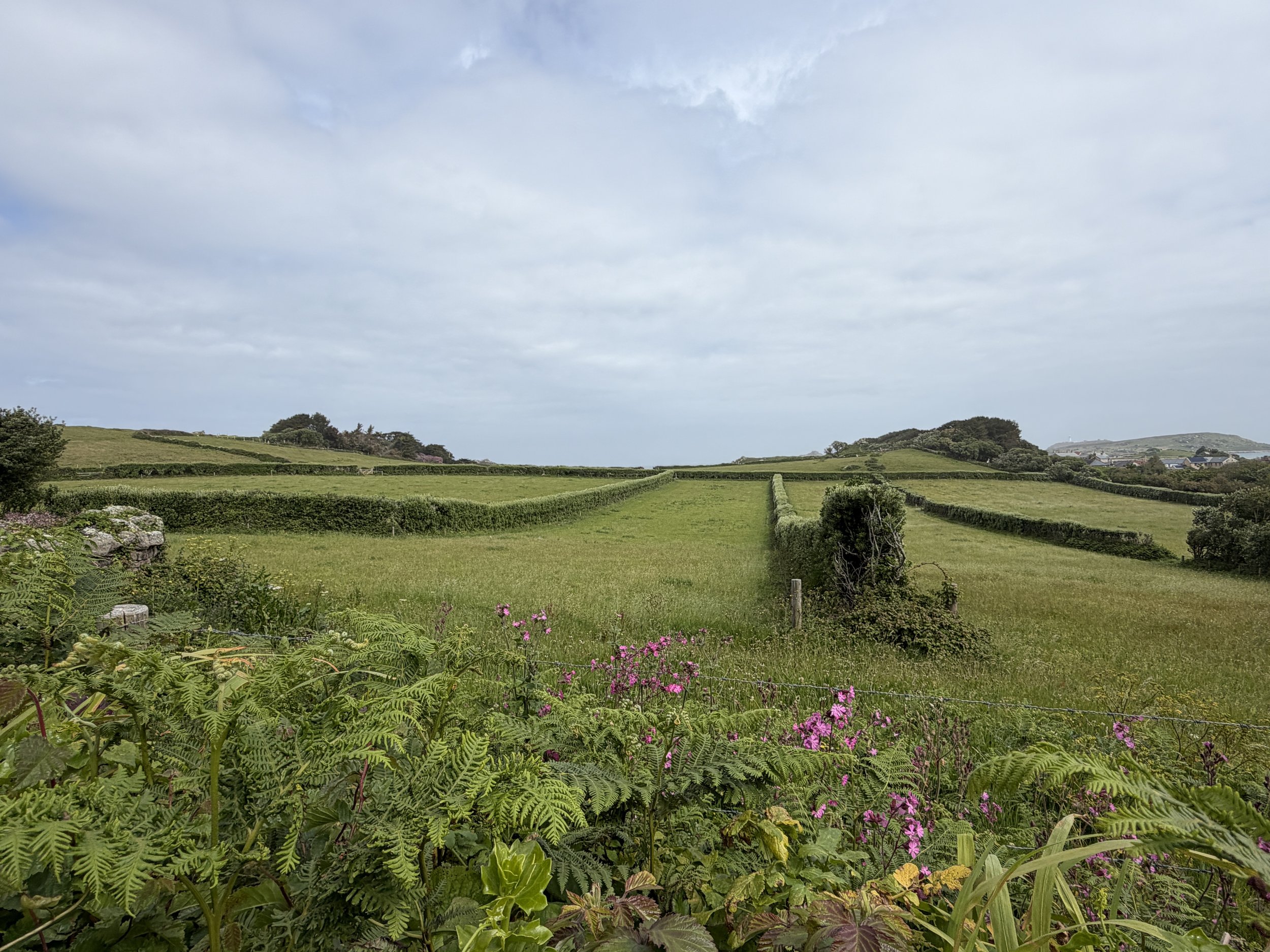   We walked past beautiful fields  