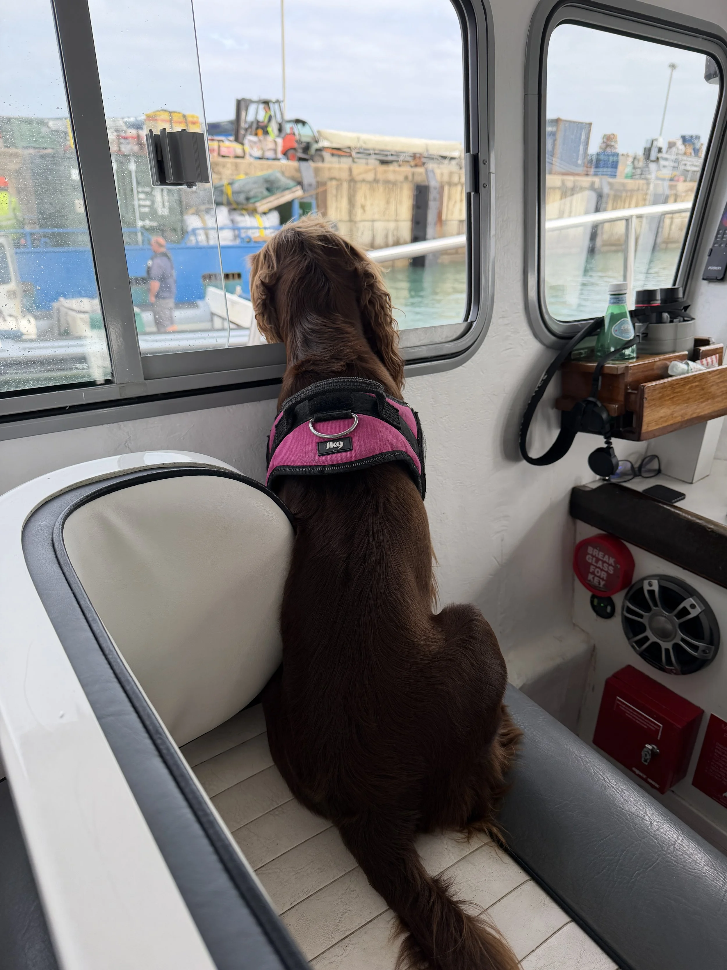   She’s on the job!  