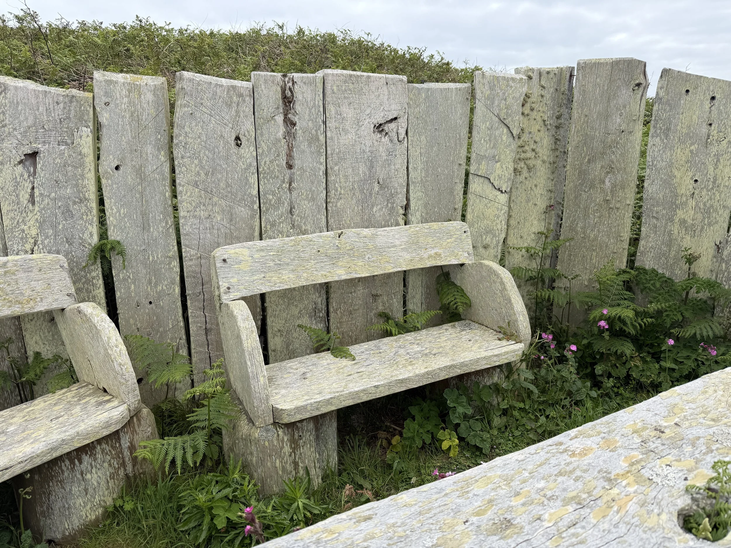  A style of bench we saw everywhere.  