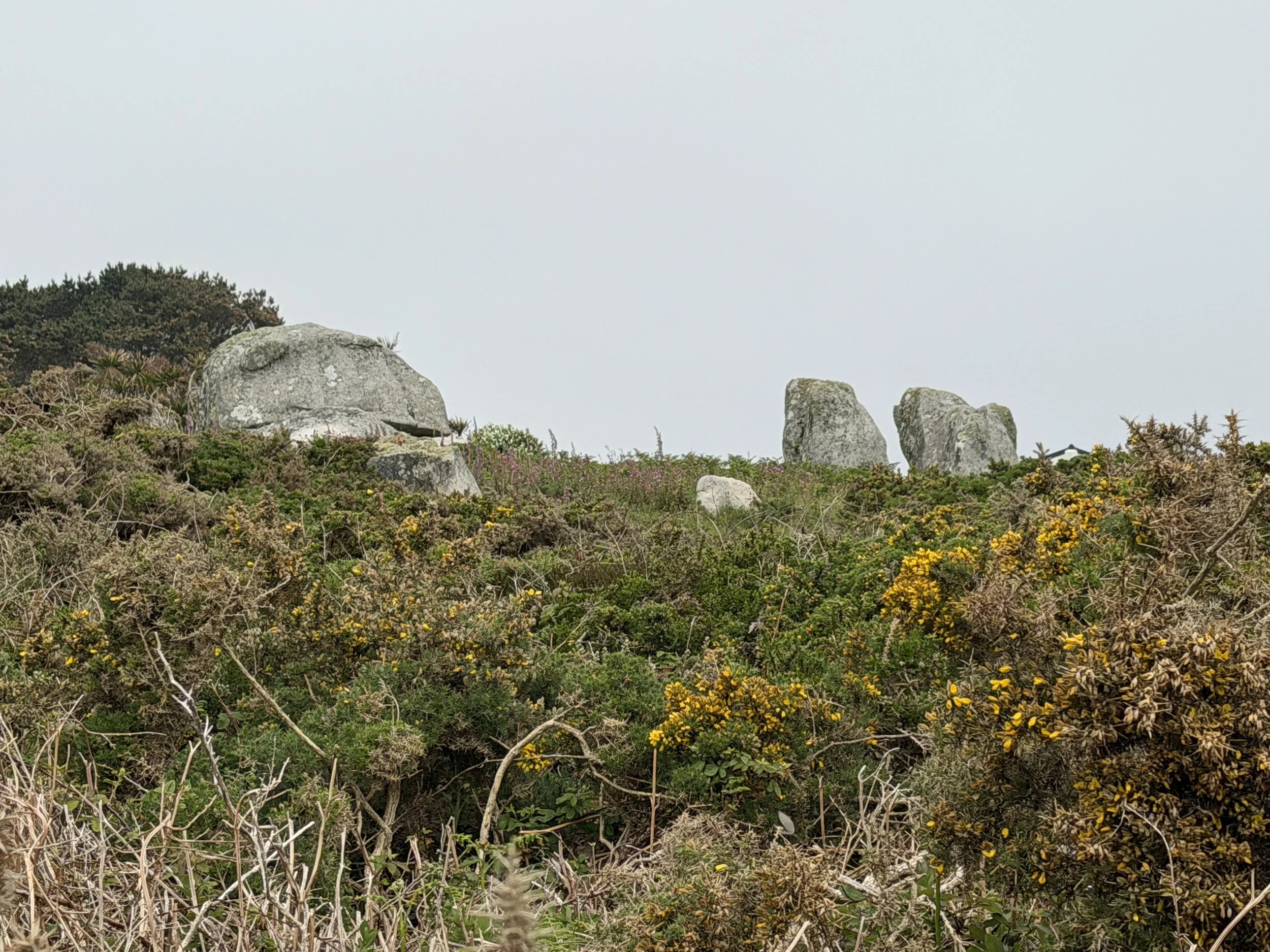 IMG_3299.JPG