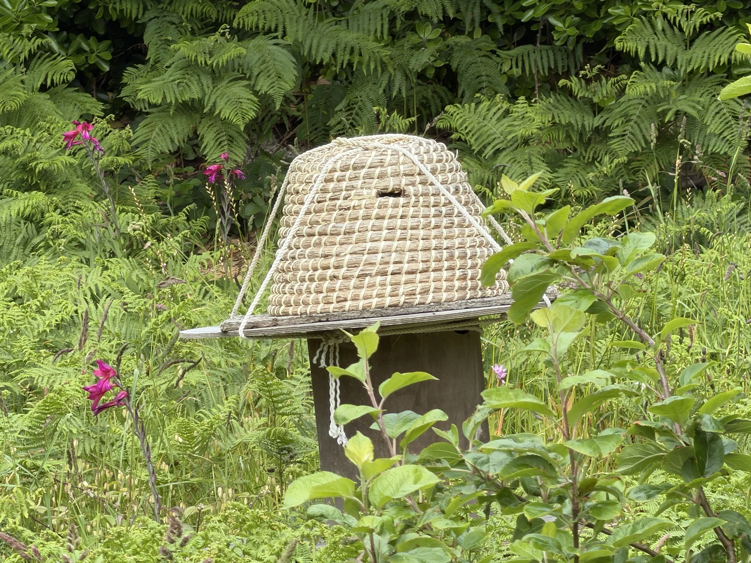   Bee hive.  