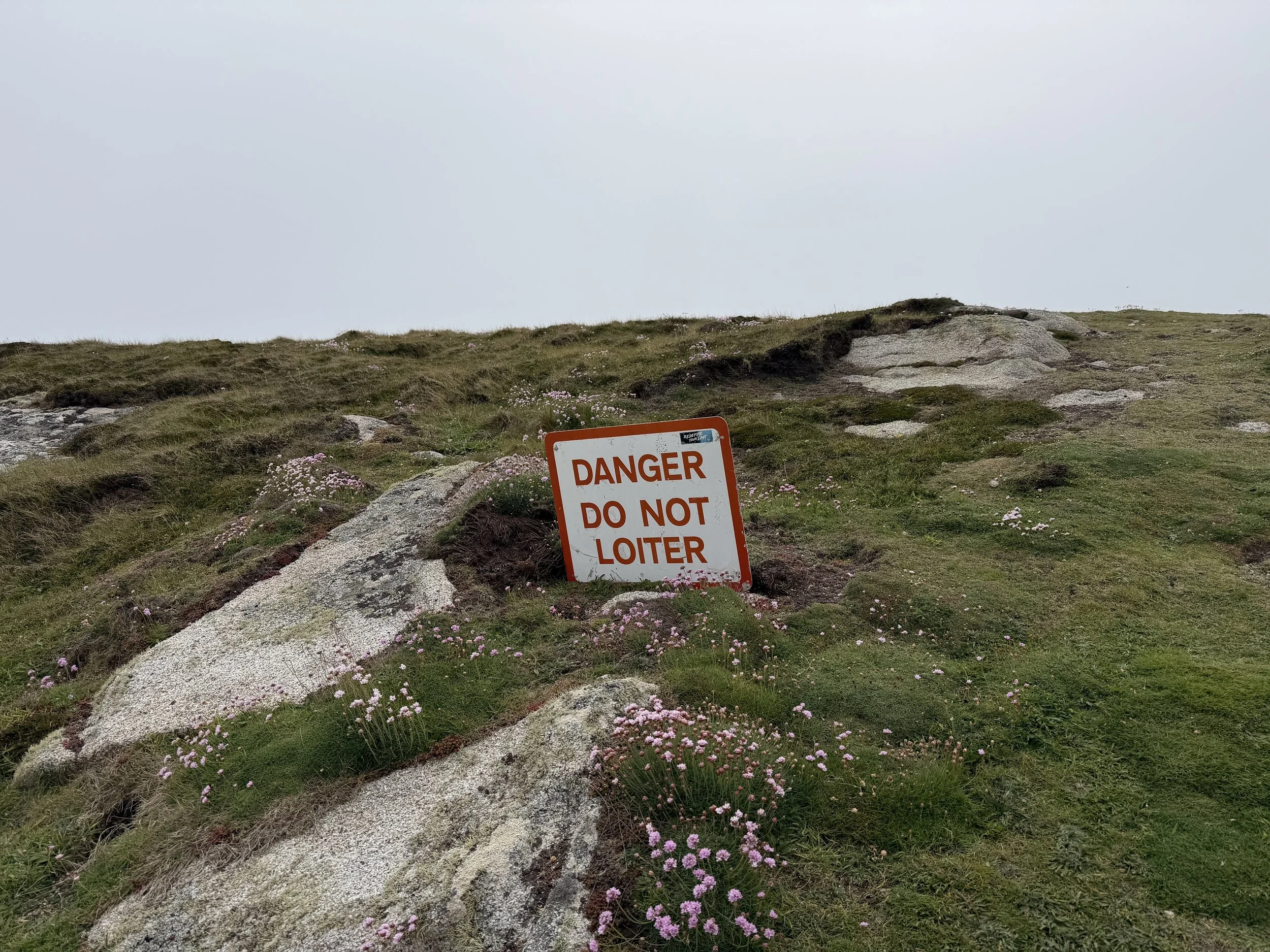   This sign appeared out of nowhere.  