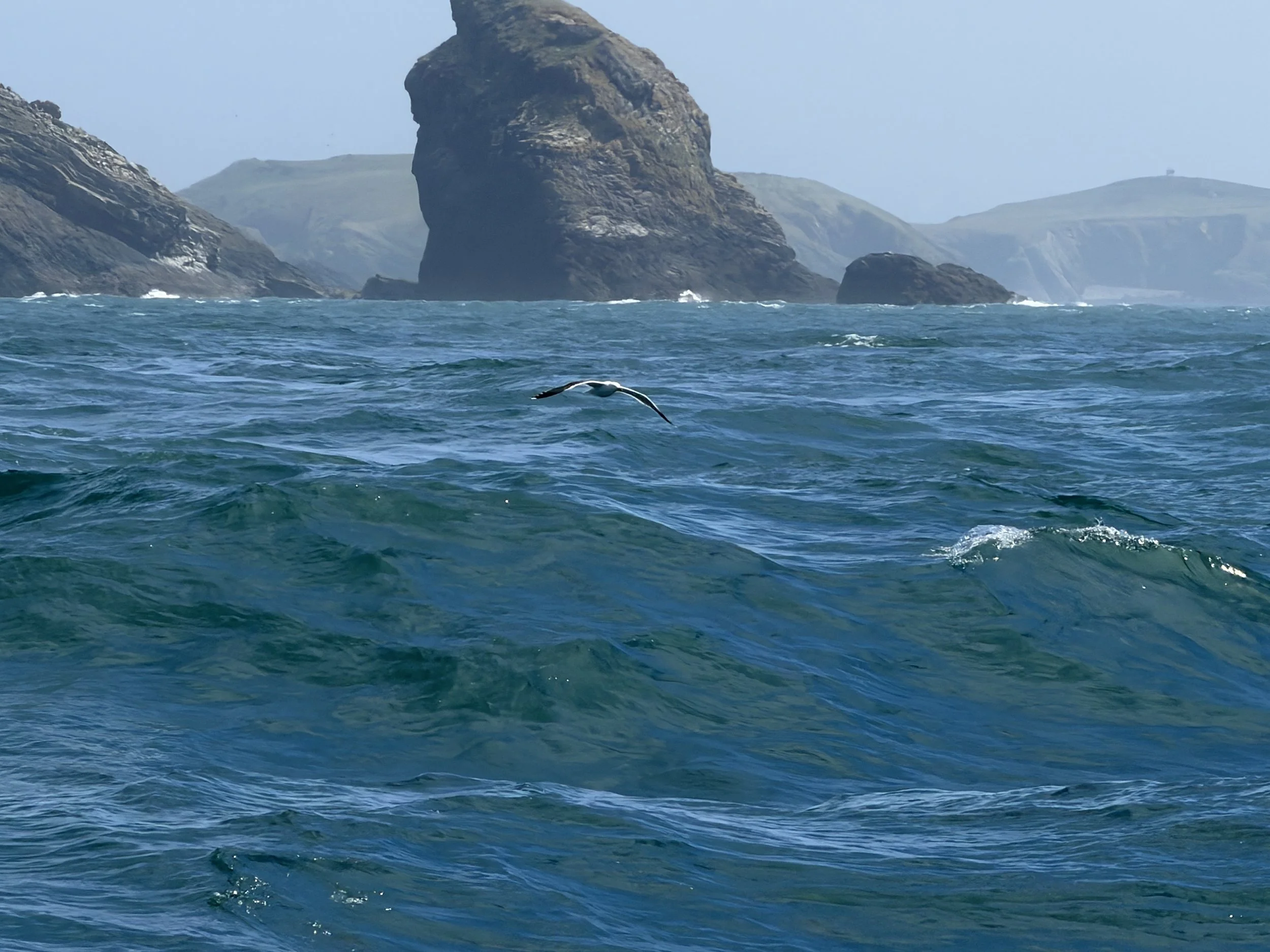   Over 4 knots of current against us.  
