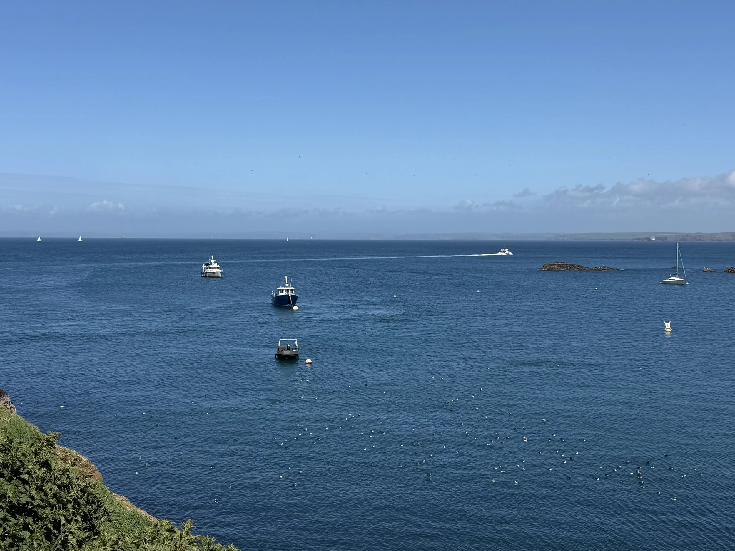   Climbed up onto the headland.  