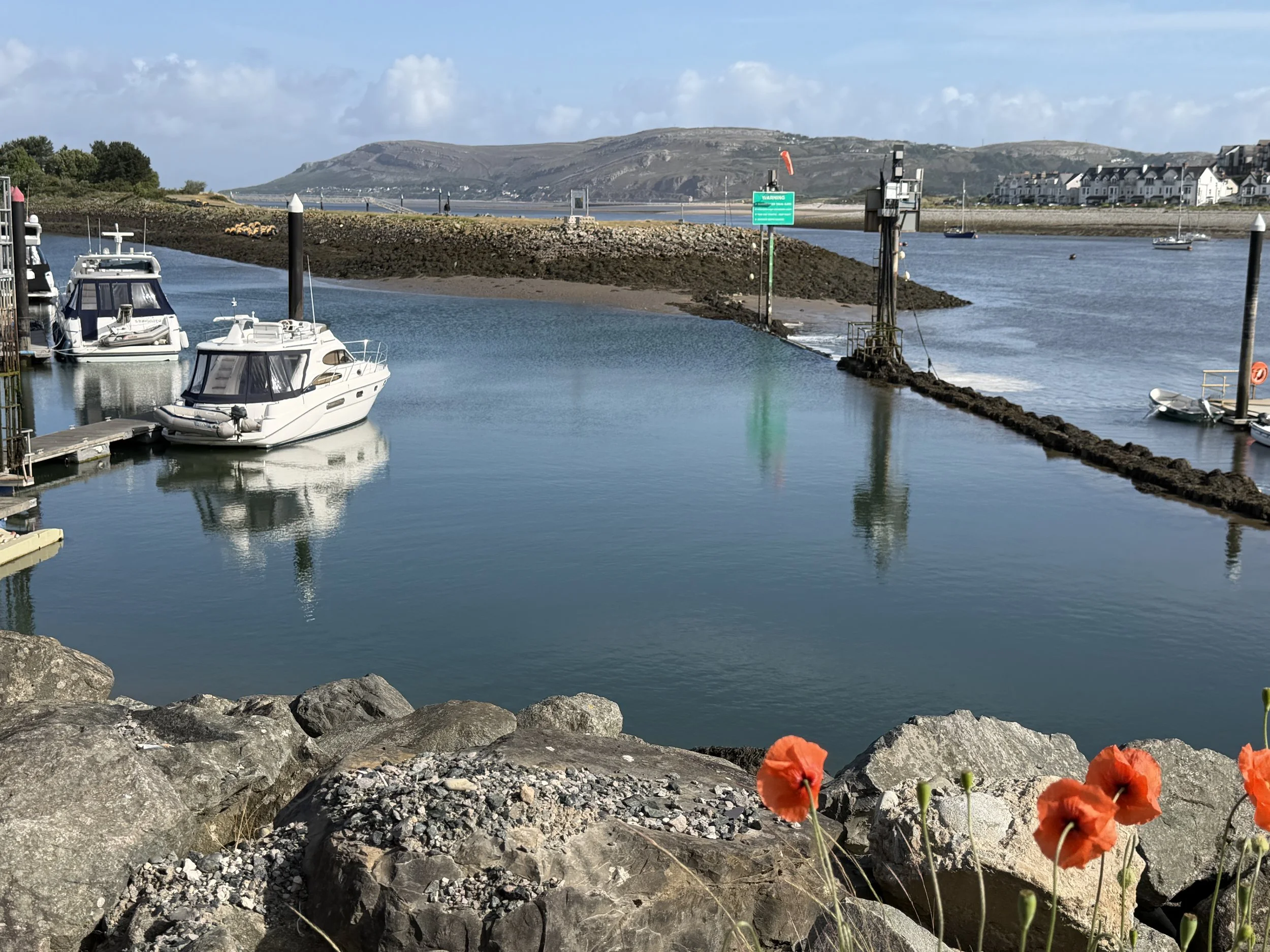   The sill at the marina at low tide  
