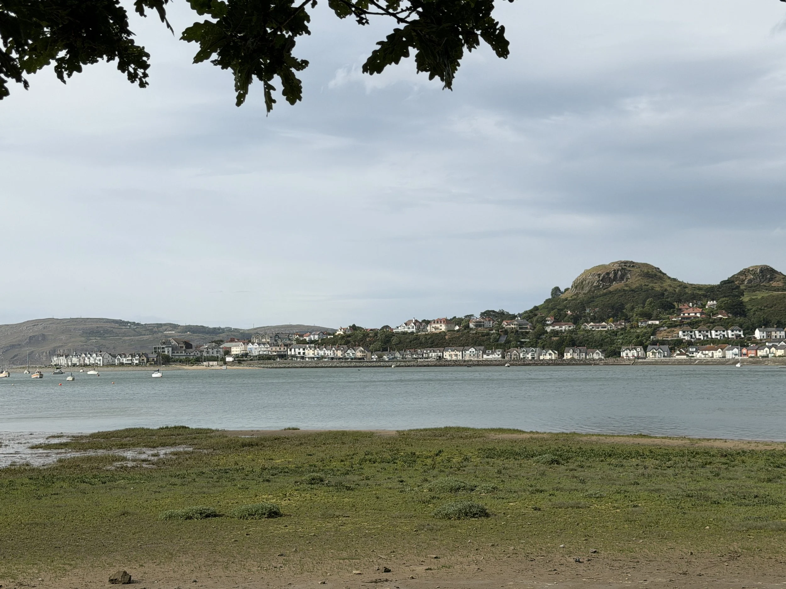 IMG_4249.JPG