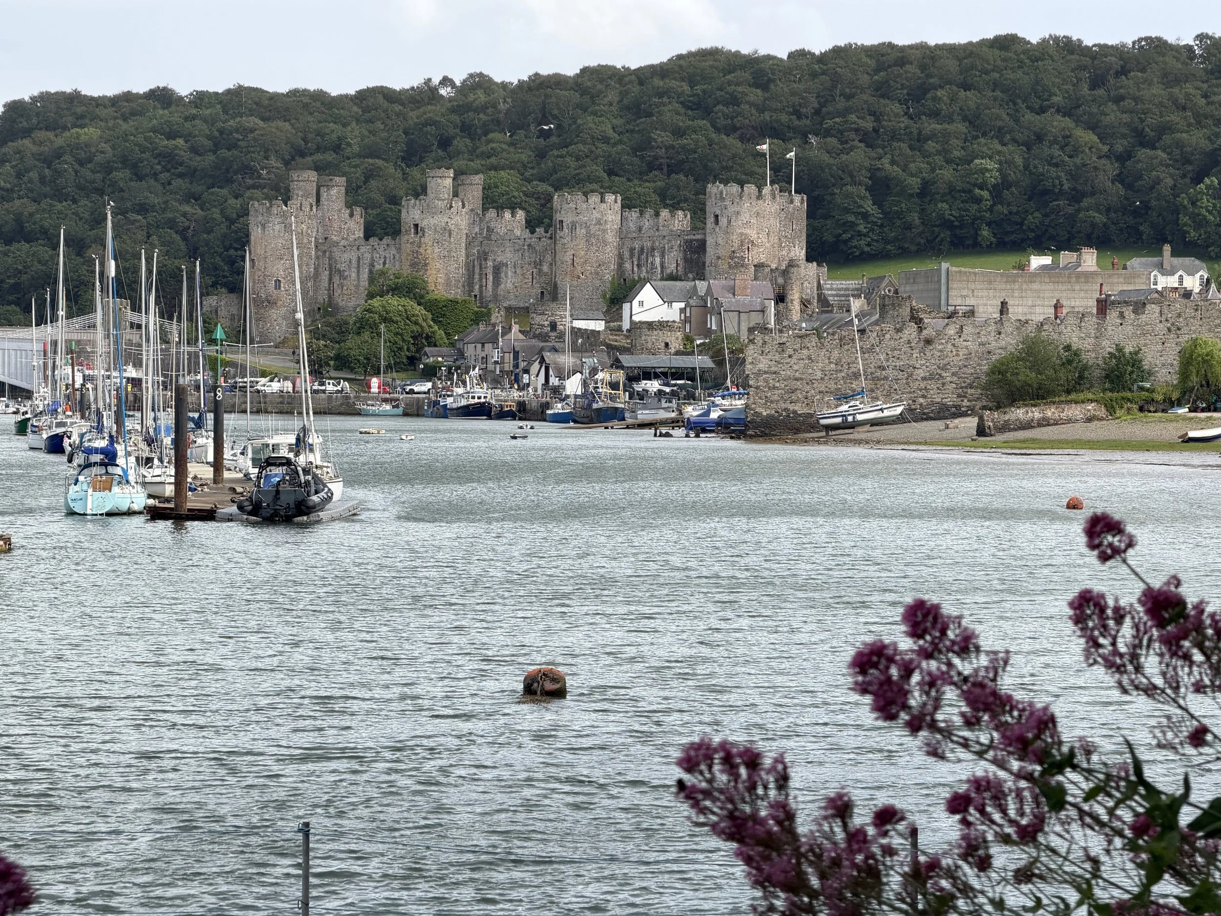   Conwy Castle  