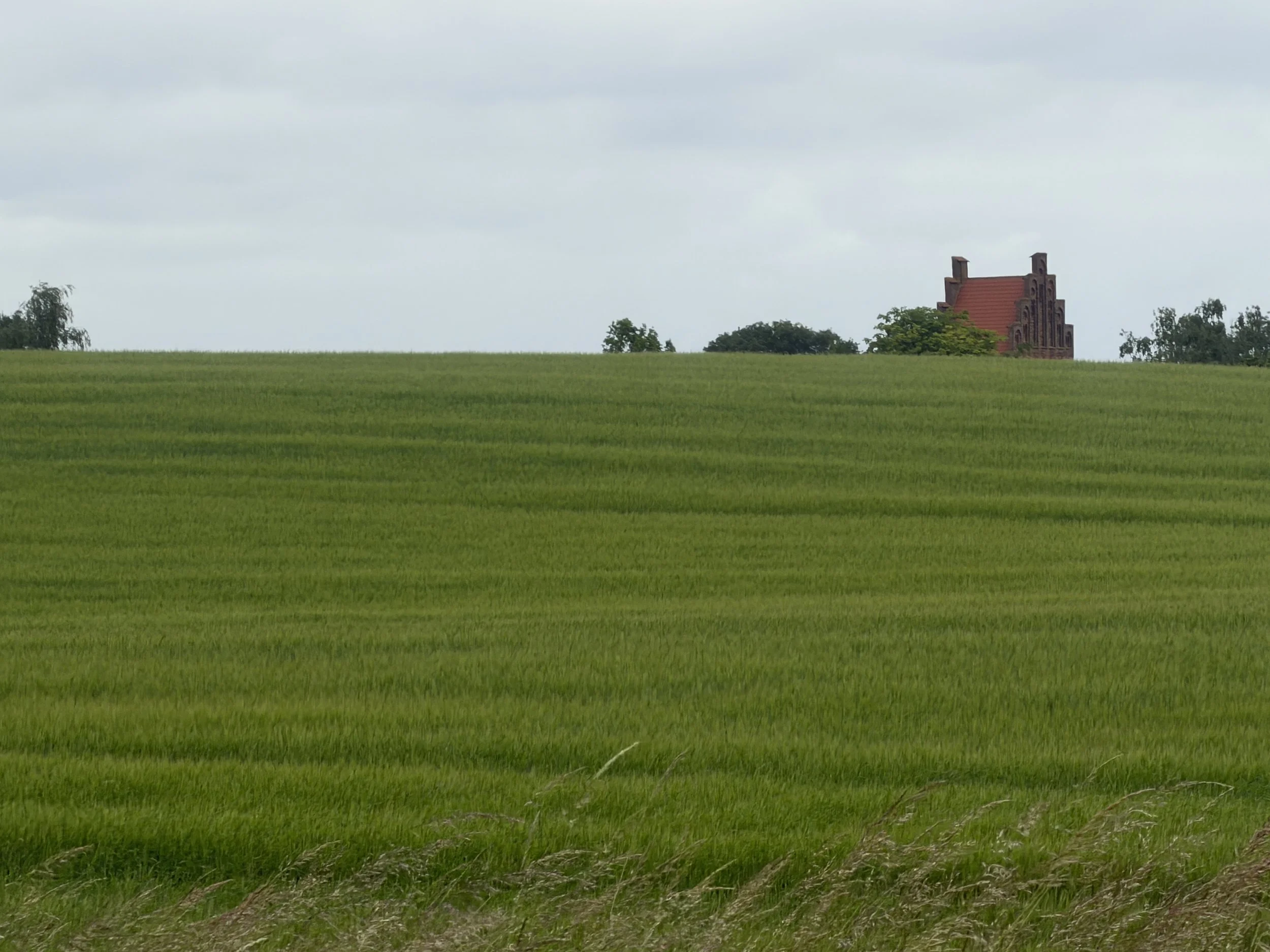   The serenity of farmland  