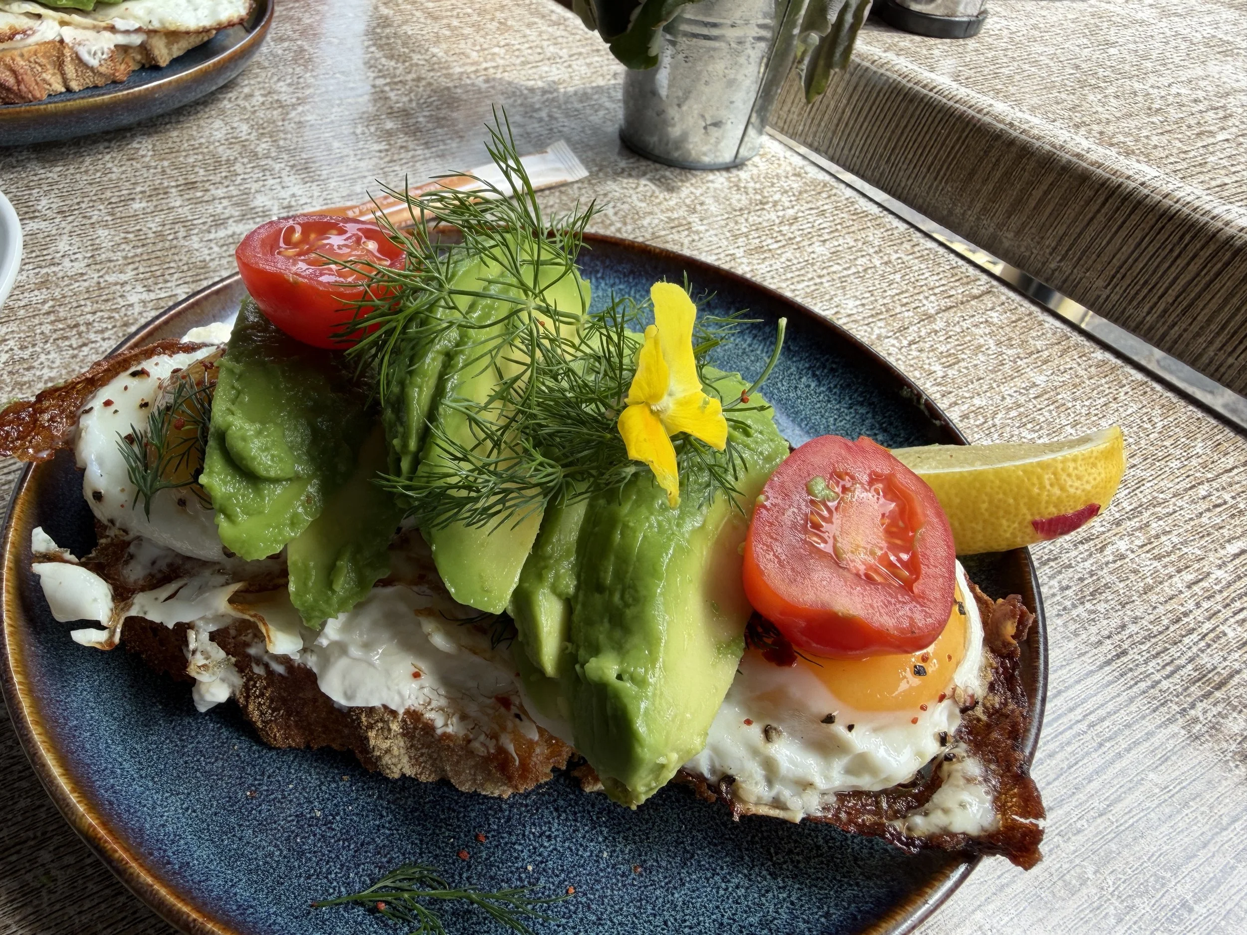  Even a simple avocado toast looks exquisite.  