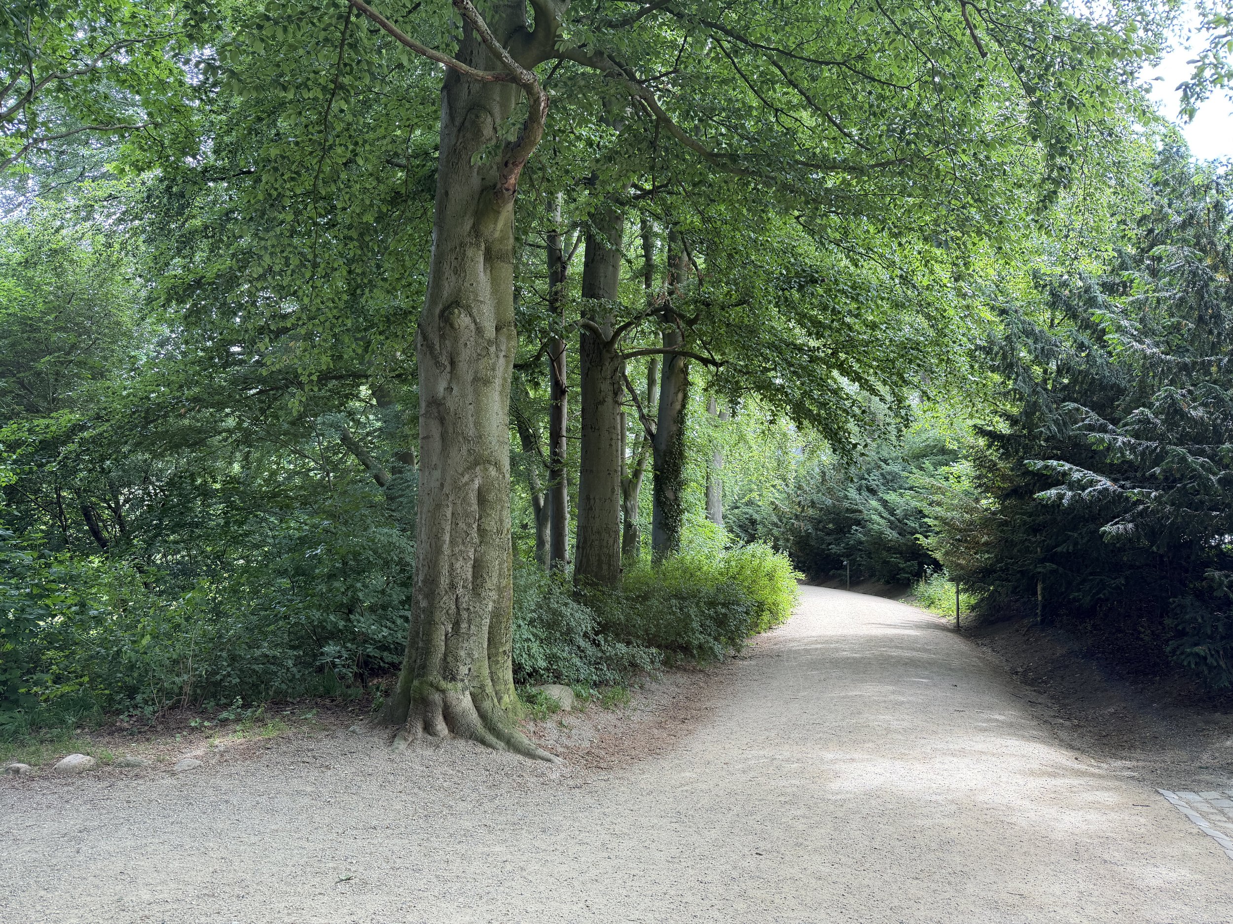   A delightful park with huge trees, open fields, a playground, a zipline, picnic areas and a zoo!  