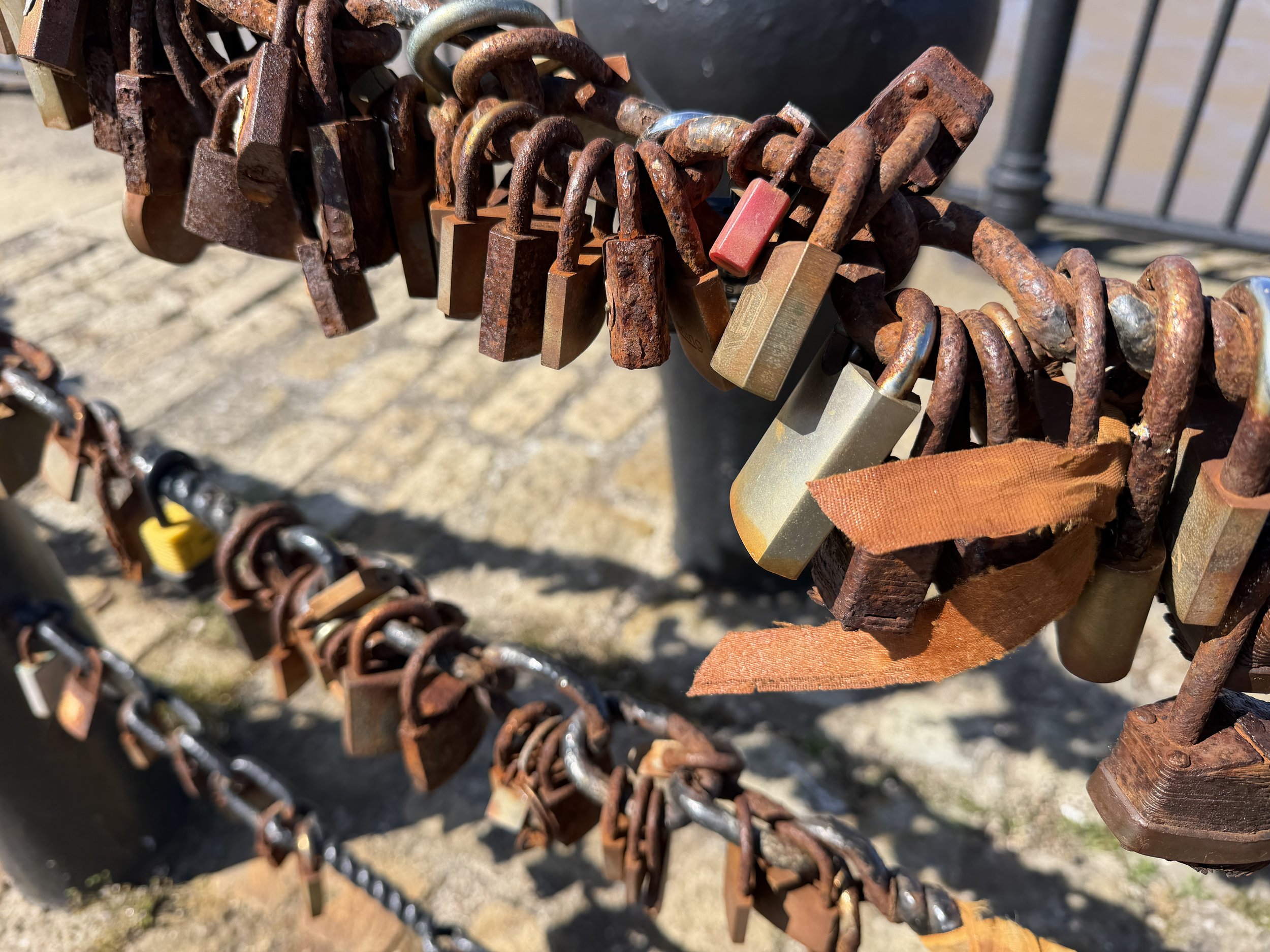   This living art piece is deeply moving—each lock a unique, physical anchor of affection, friendship, or remembrance.  