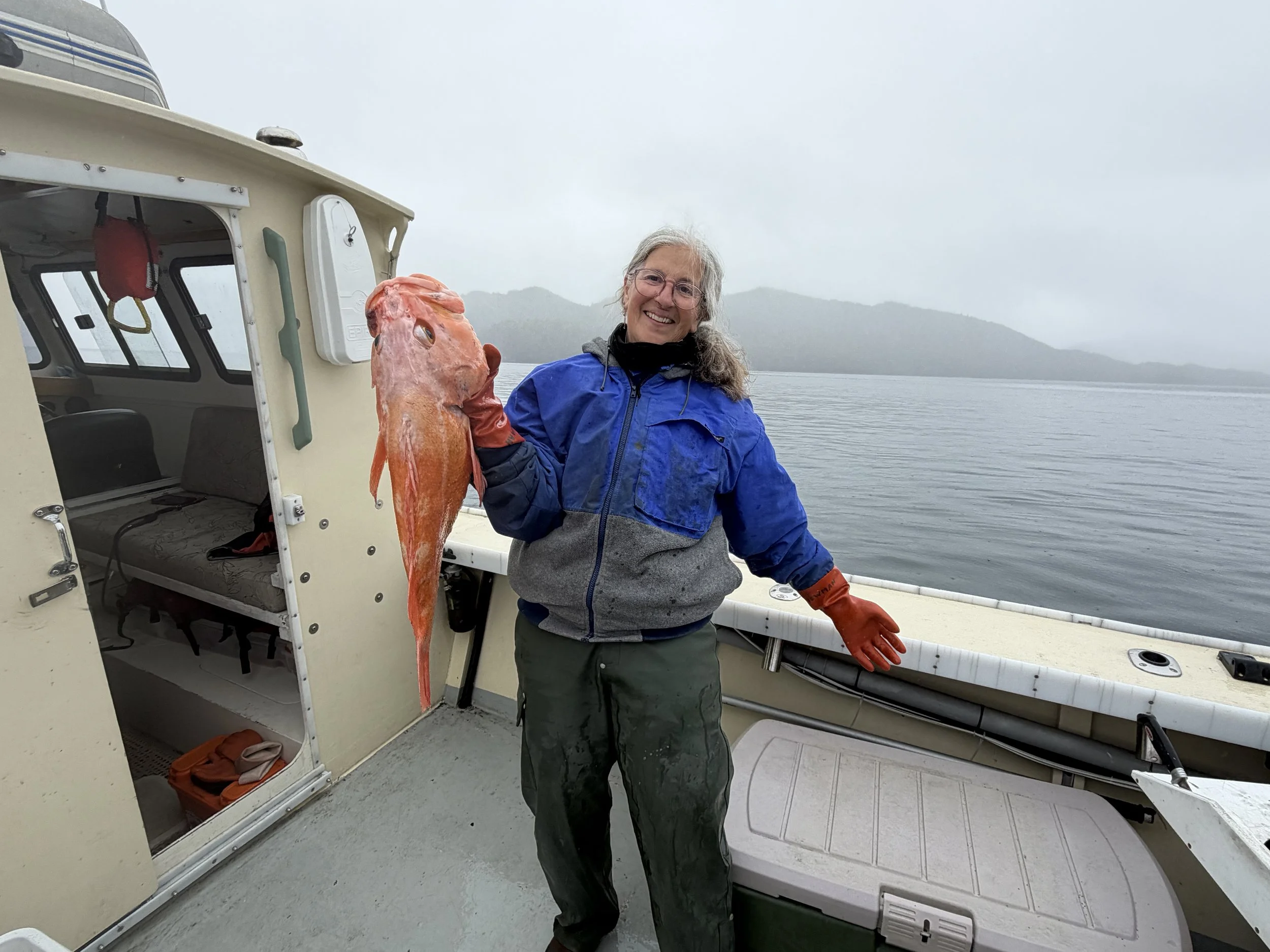   Yelloweye Rockfish.  
