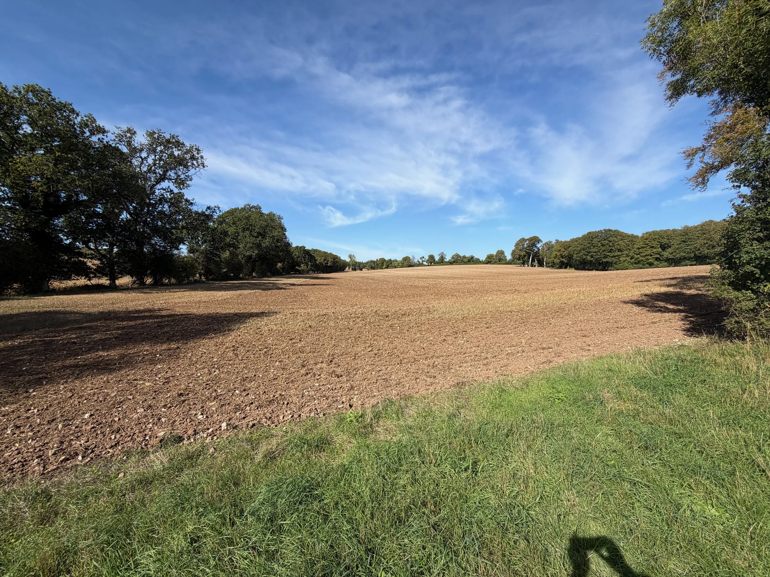   A nice walk in the country  
