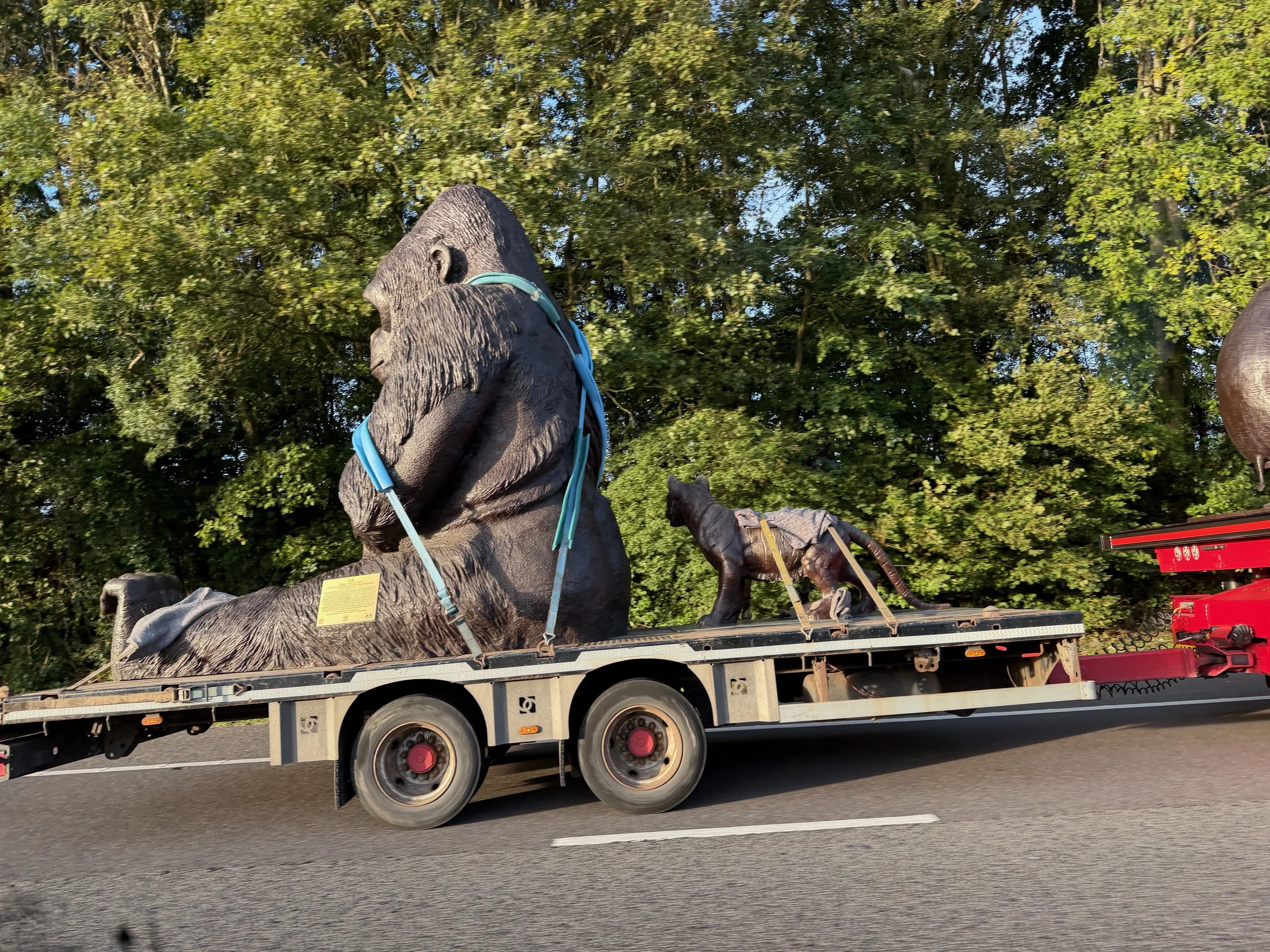   Driving on the motorway, you never know what you will pass….   
