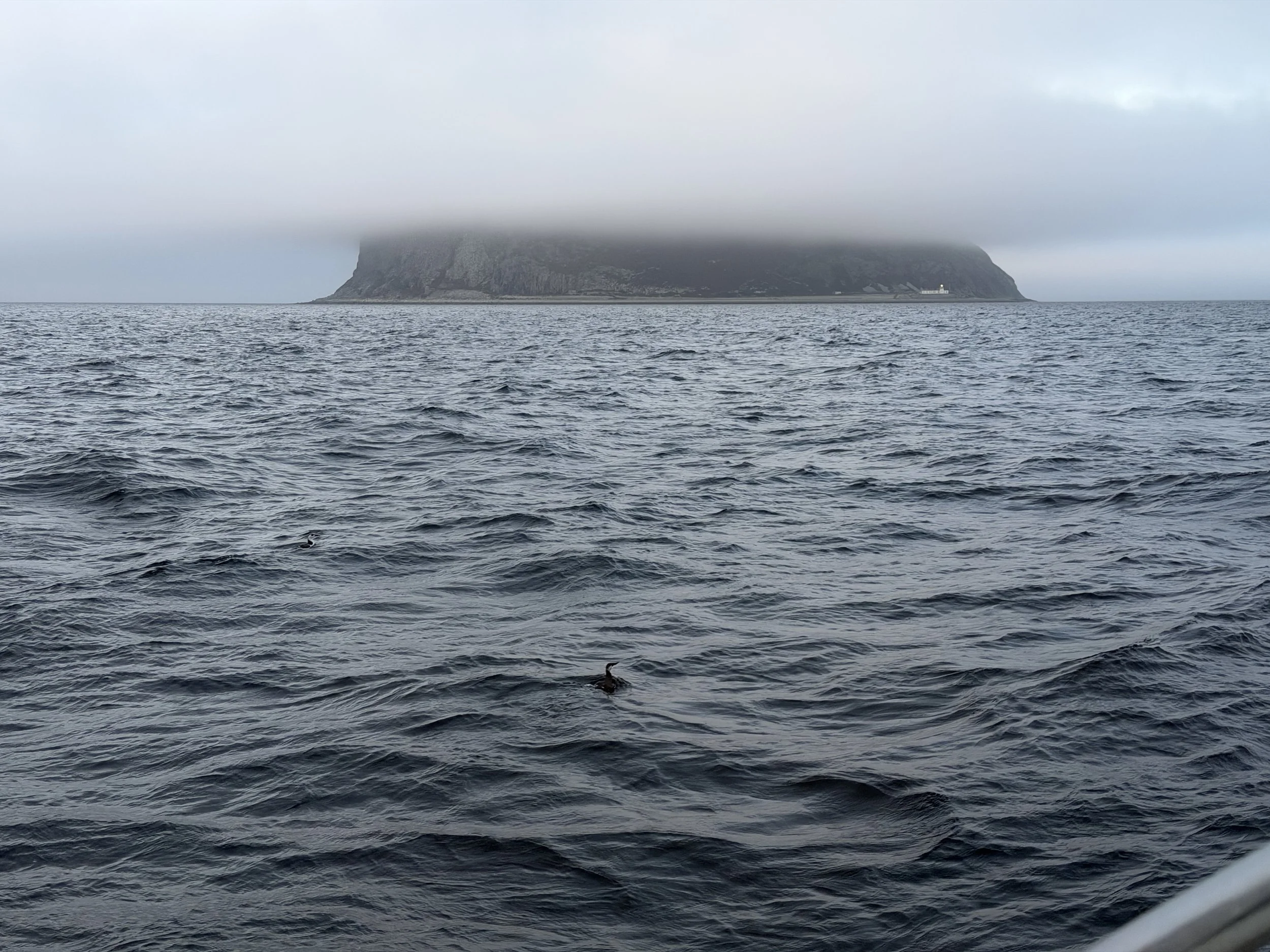   Gray Scottish morning.  