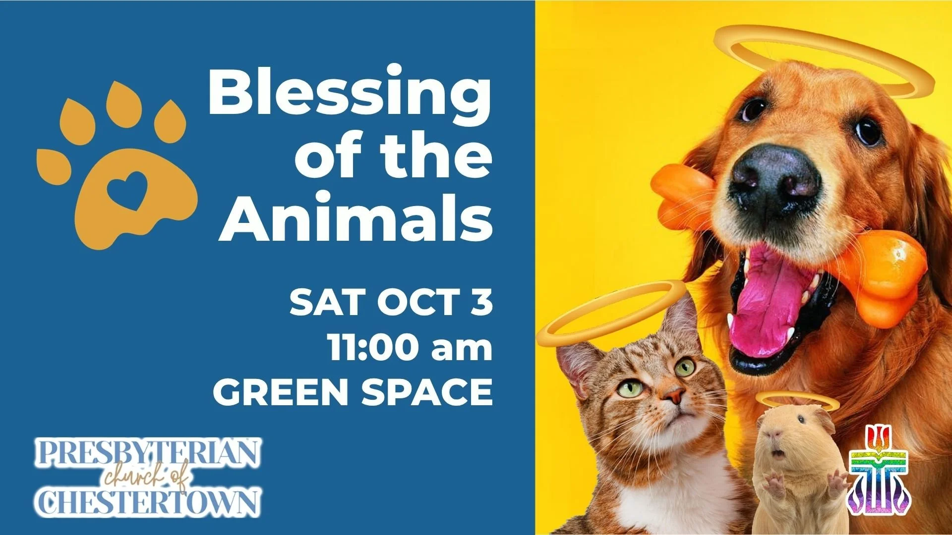 Blessing of the Animals