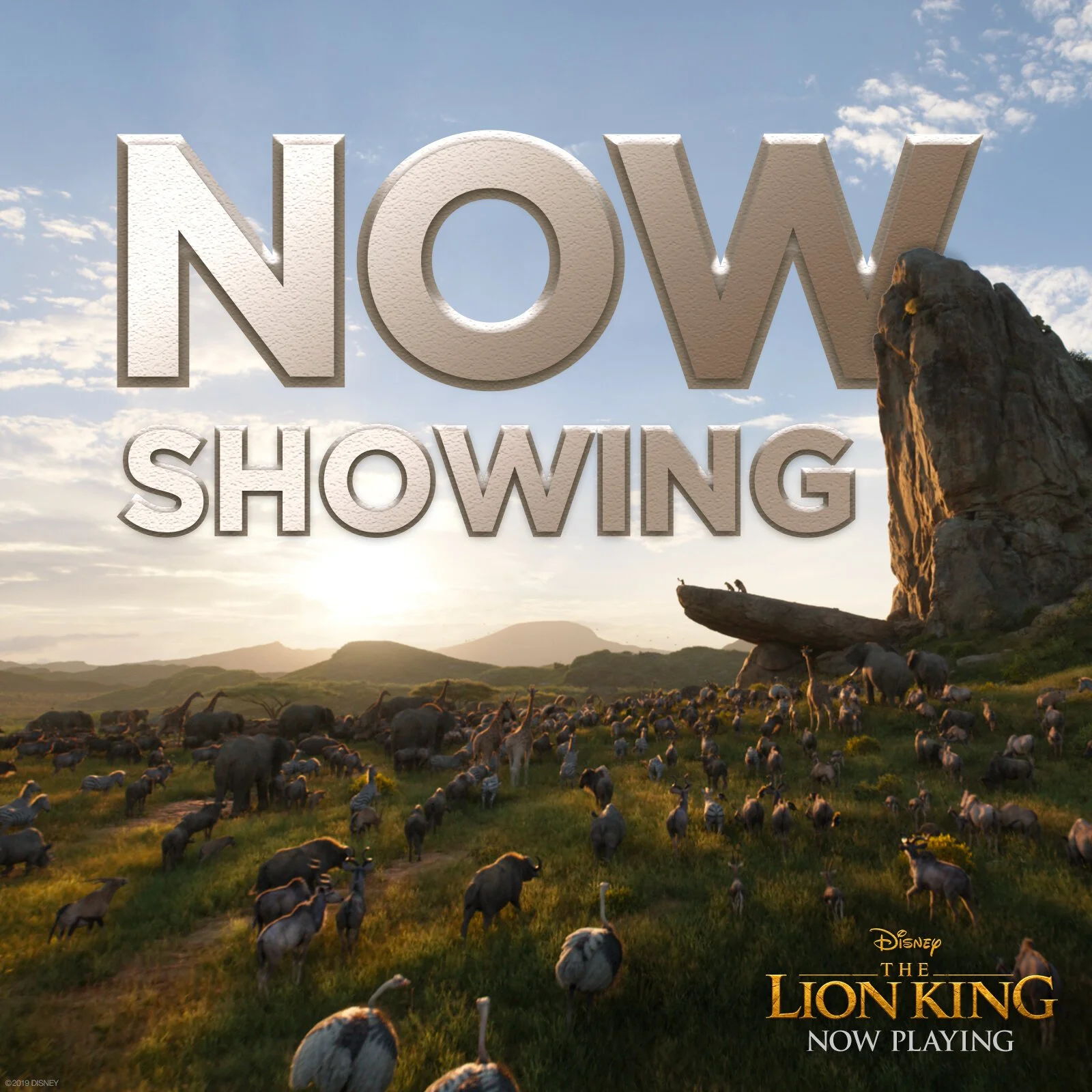 LK_StaticCountdown_NowShowing.jpg