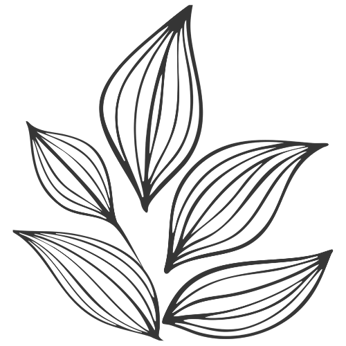 A white background with black, curved lines forming an abstract floral or leaf pattern.