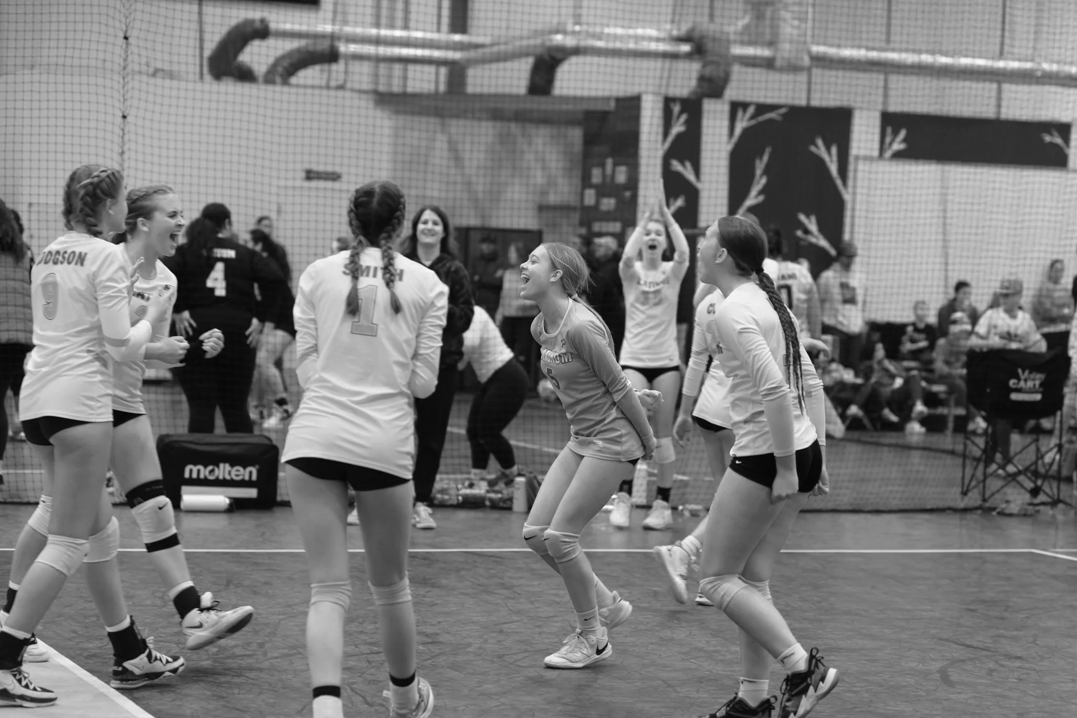 Girls Club Volleyball Levels — Platinum Volleyball