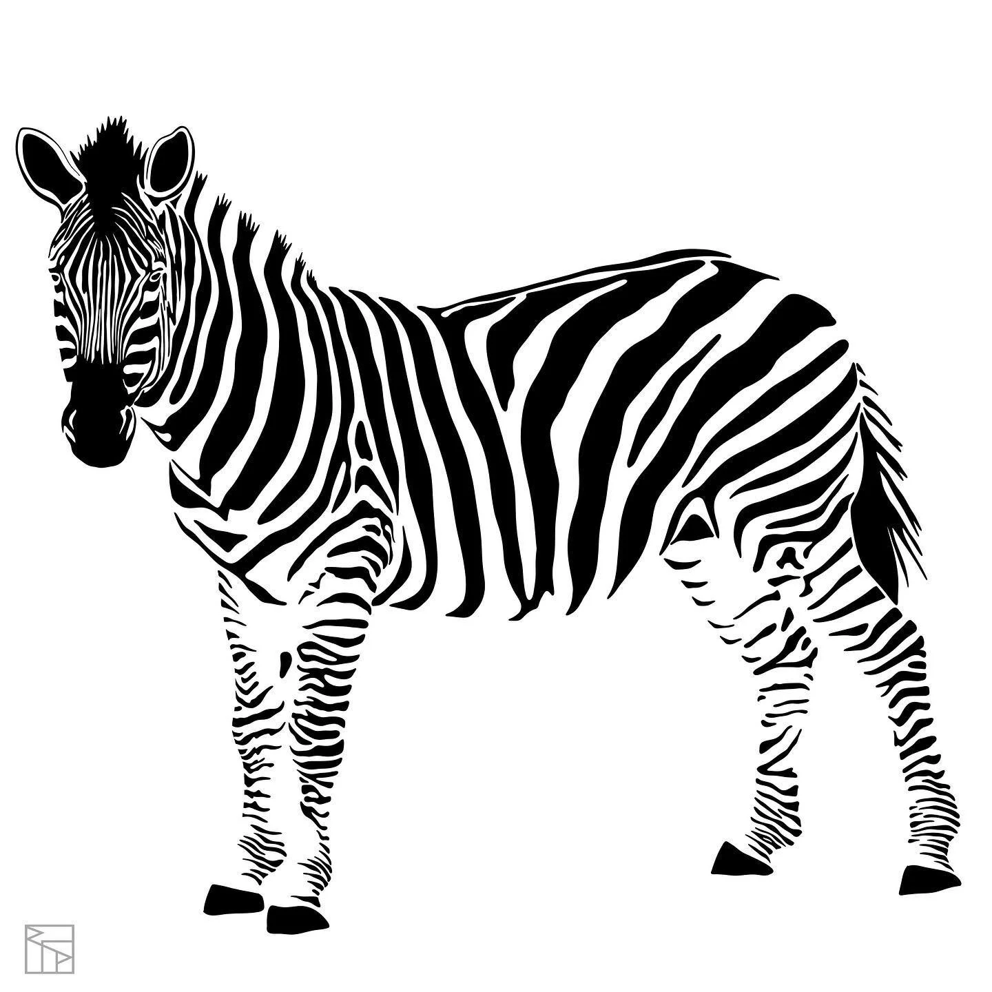 Friends from the motherland travels 🦓