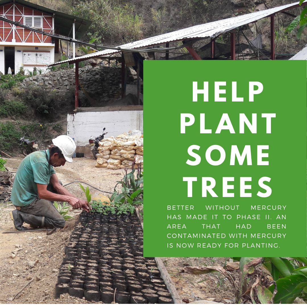 BWM_Phase_II_Insta-Post_Help-plant-some-trees.png
