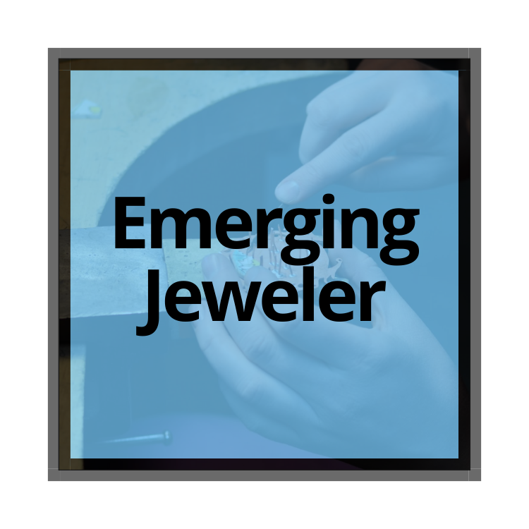 Emerging Jeweler Mentored Session 4: Creating a Collection