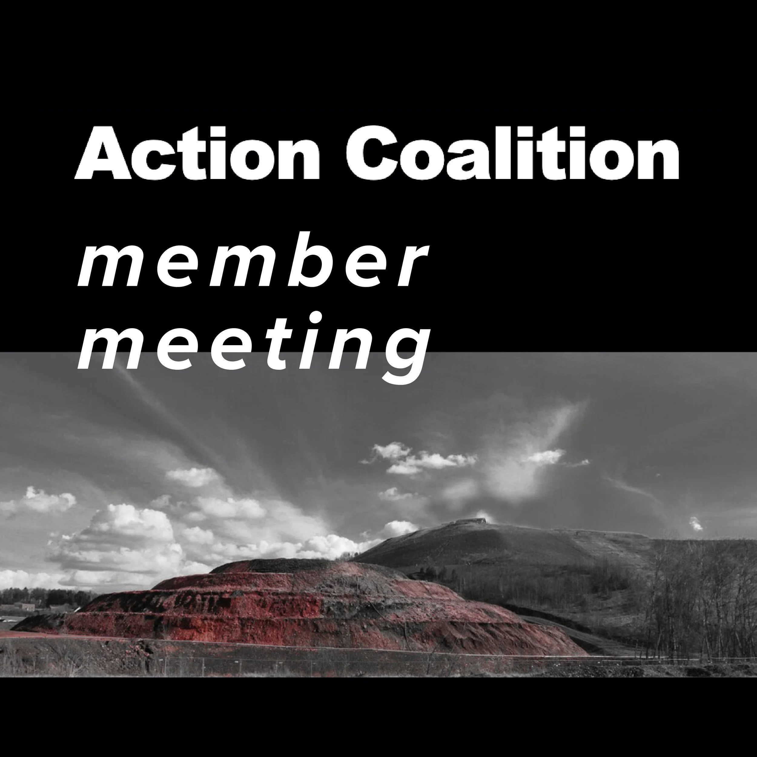 Action Coalition Member Zoom Meeting