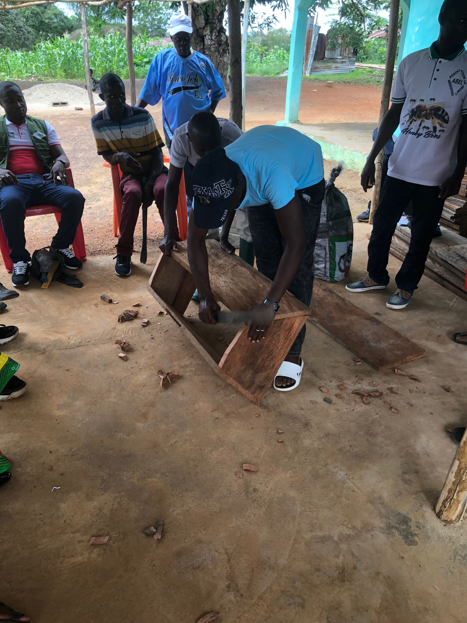 Demonstration building beehive