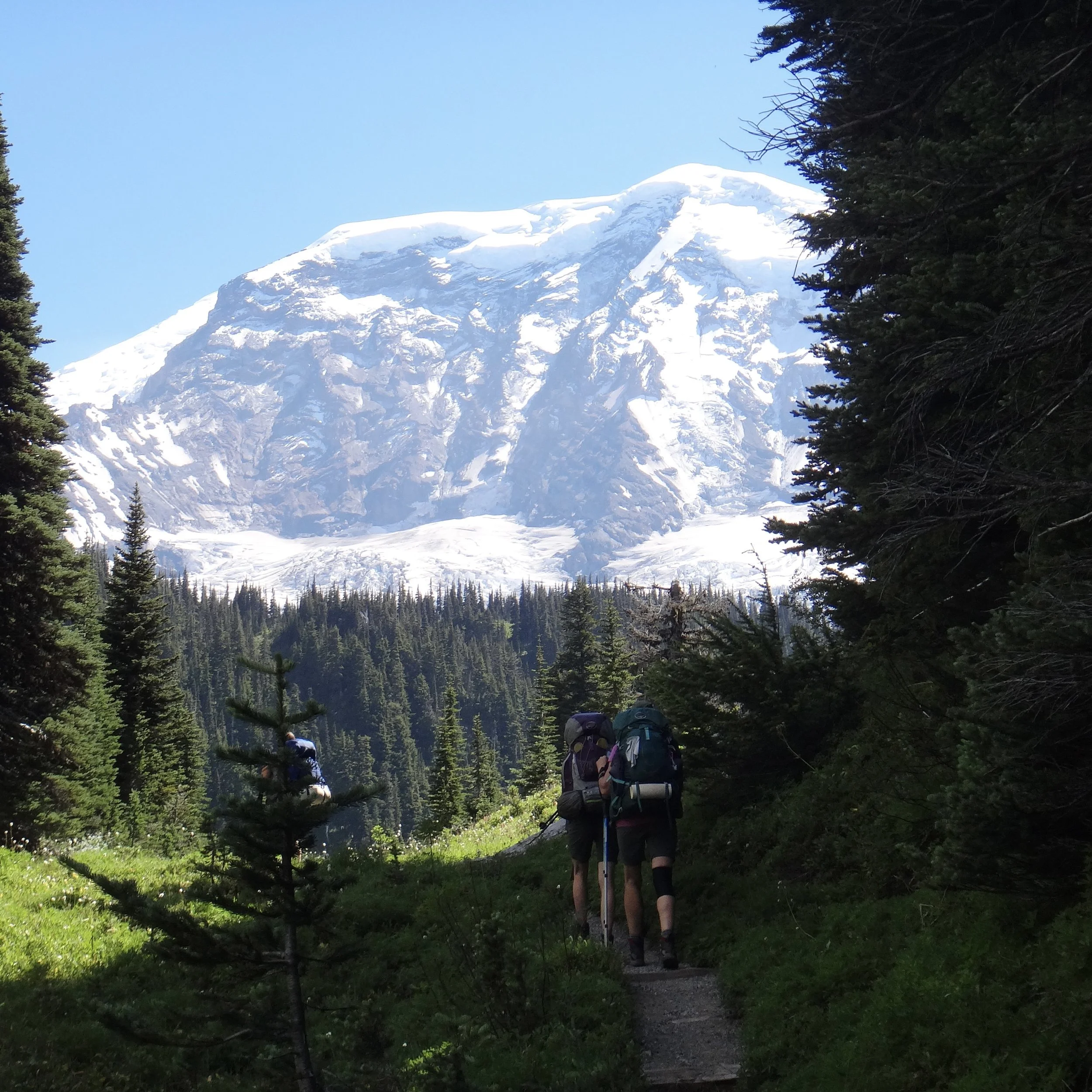 Mt. Rainier Wonderland Trail.