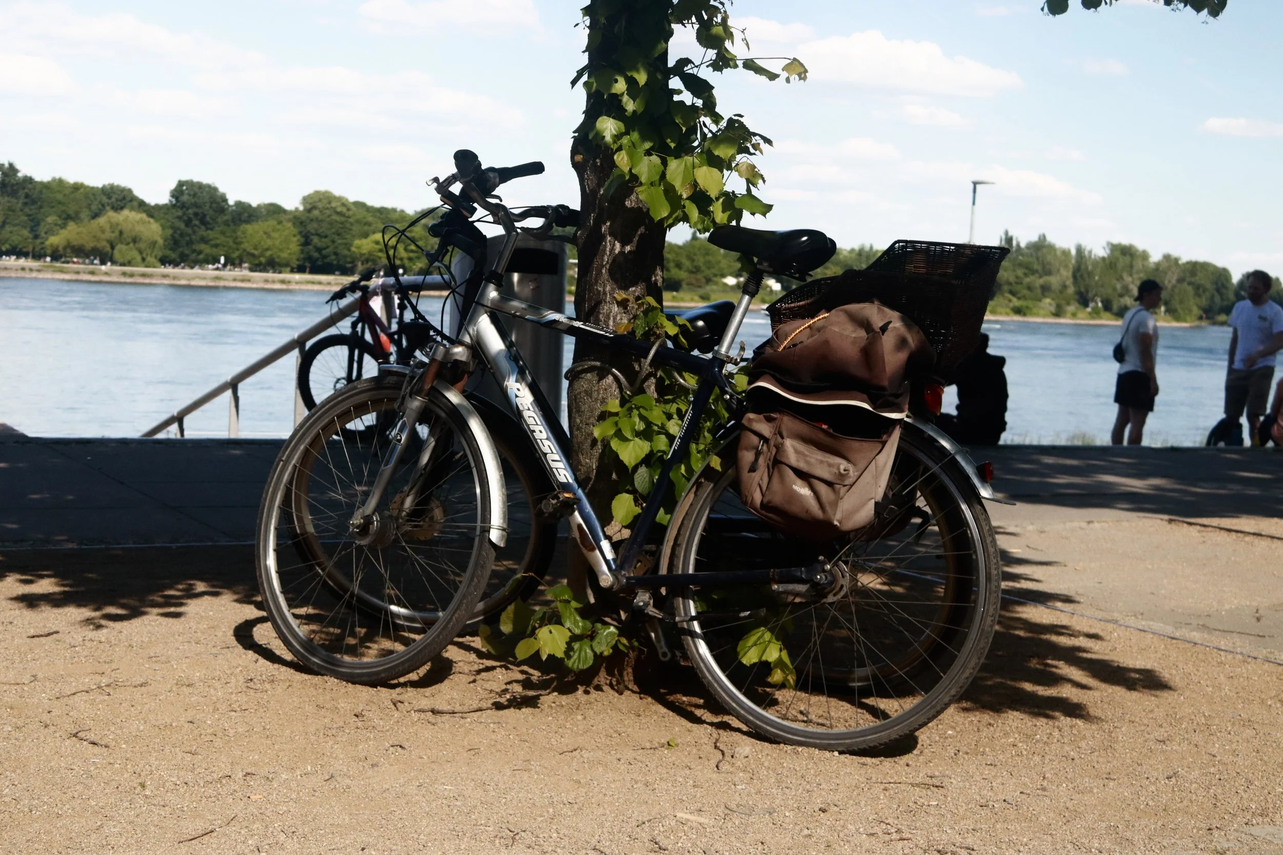 Bicycle parked against a tree by a waterfront, with people walking and standing in the background.