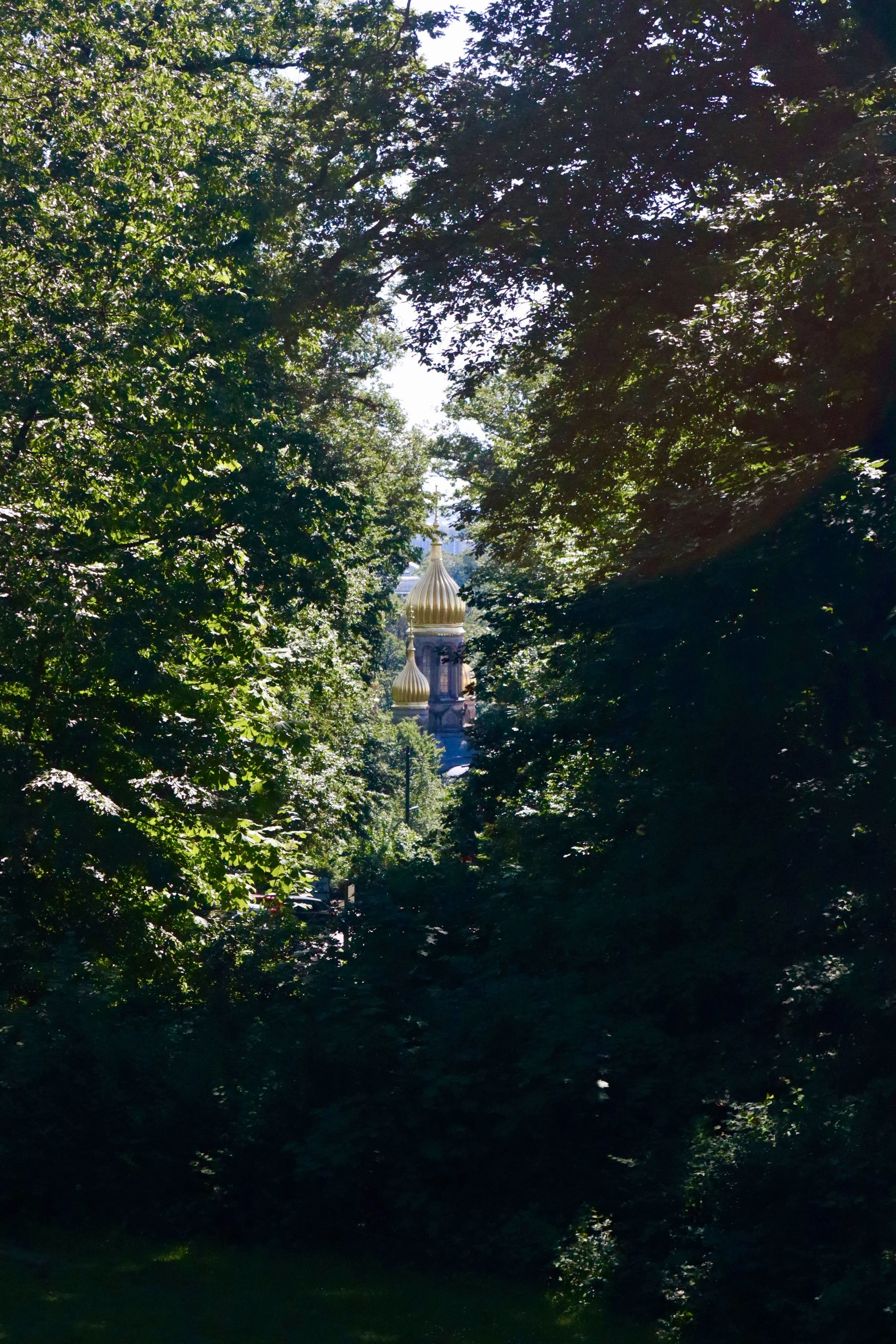 View of a golden-domed church steeple seen through dense green trees, with sunlight filtering through the leaves.