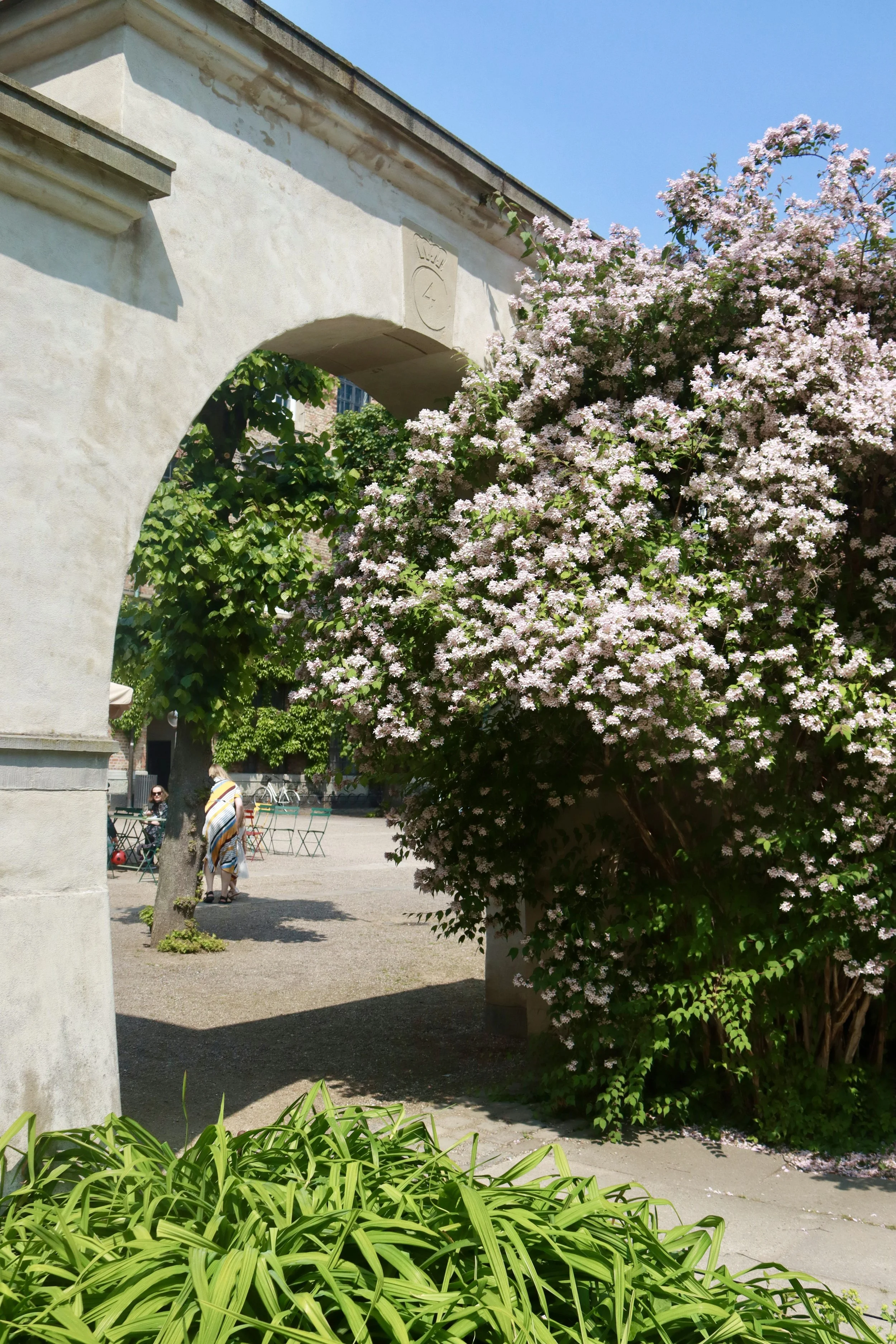 A courtyard with a stone archway, blooming pink and white flowers on a large bush, green plants in the foreground, and a woman walking in the background on a sunny day.