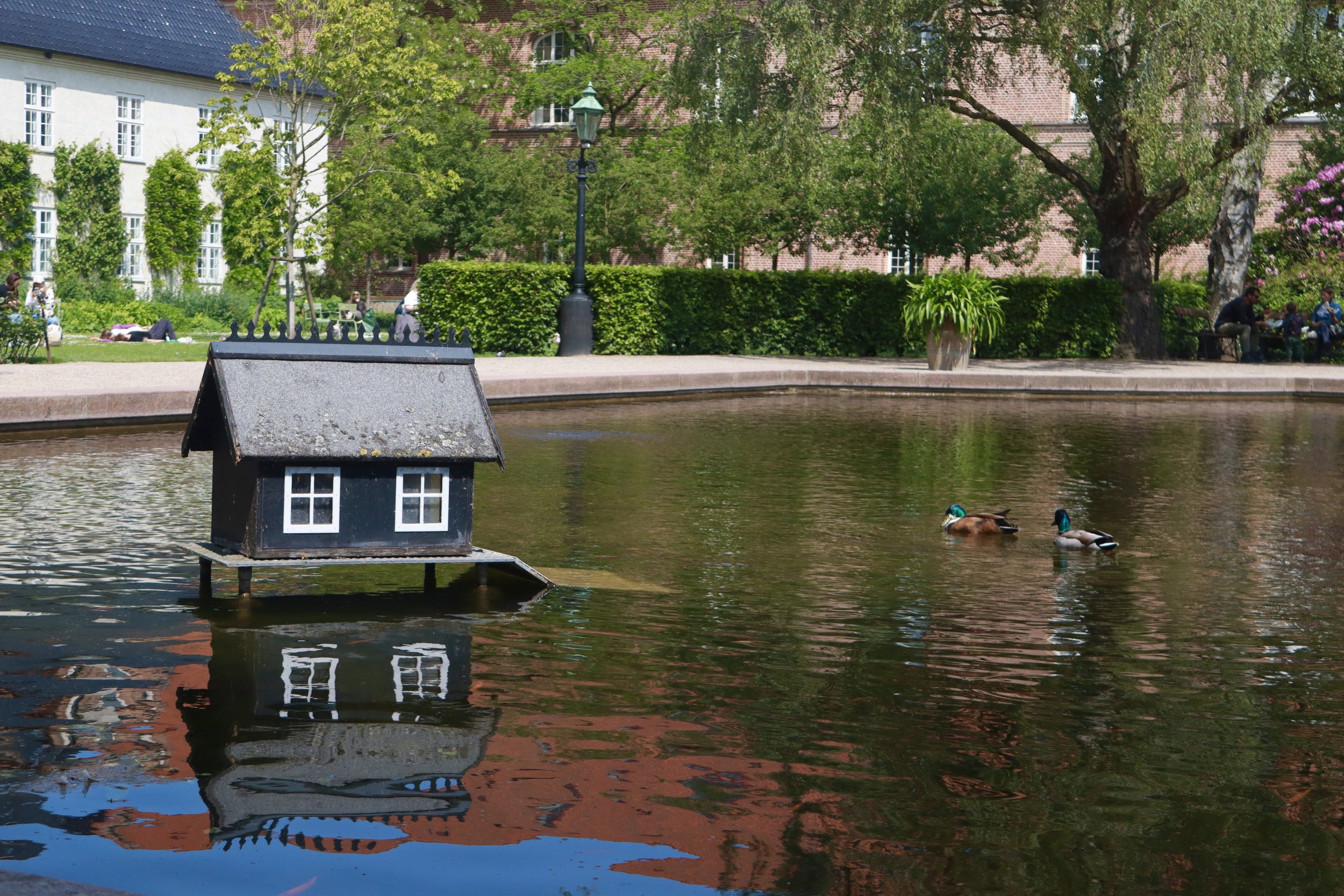 A small black house-shaped structure on stilts in a pond, with two ducks swimming nearby, in a park with green trees and benches in the background.