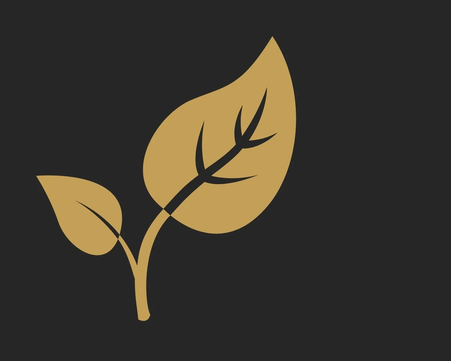 A black background with a gold silhouette of a plant with two leaves and a stem.