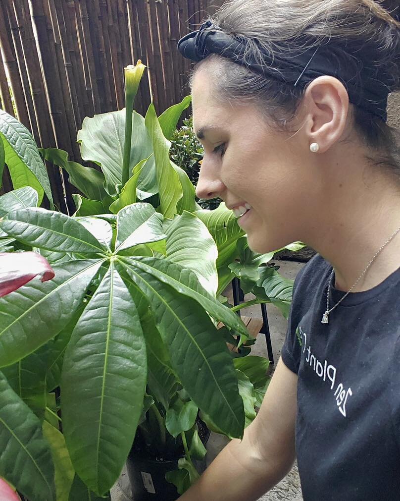 Finding a moment of calm and grounding with our leafy companion 🌿 It&rsquo;s always a good day when surrounded by plants! - it's like an instant recharge for the soul 🫶🏼✨

#sdplants #houseplantsofsd #sandiegobuisness #smallbusiness #plantsofinstag