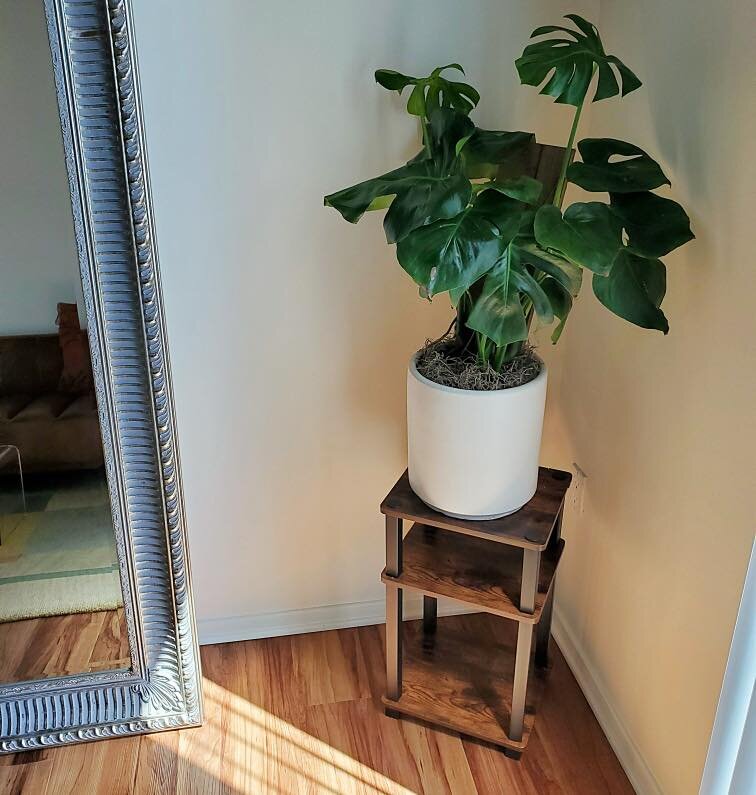 This corner just wasn&rsquo;t complete without this beautiful monstera deliciosa! Swipe to see the before ➡️🪴
Doesn&rsquo;t it just completely change the vibe of the space!!? 😍

 #indoorplants #lowmaintenanceplants #sandiego #houseplants #houseplan