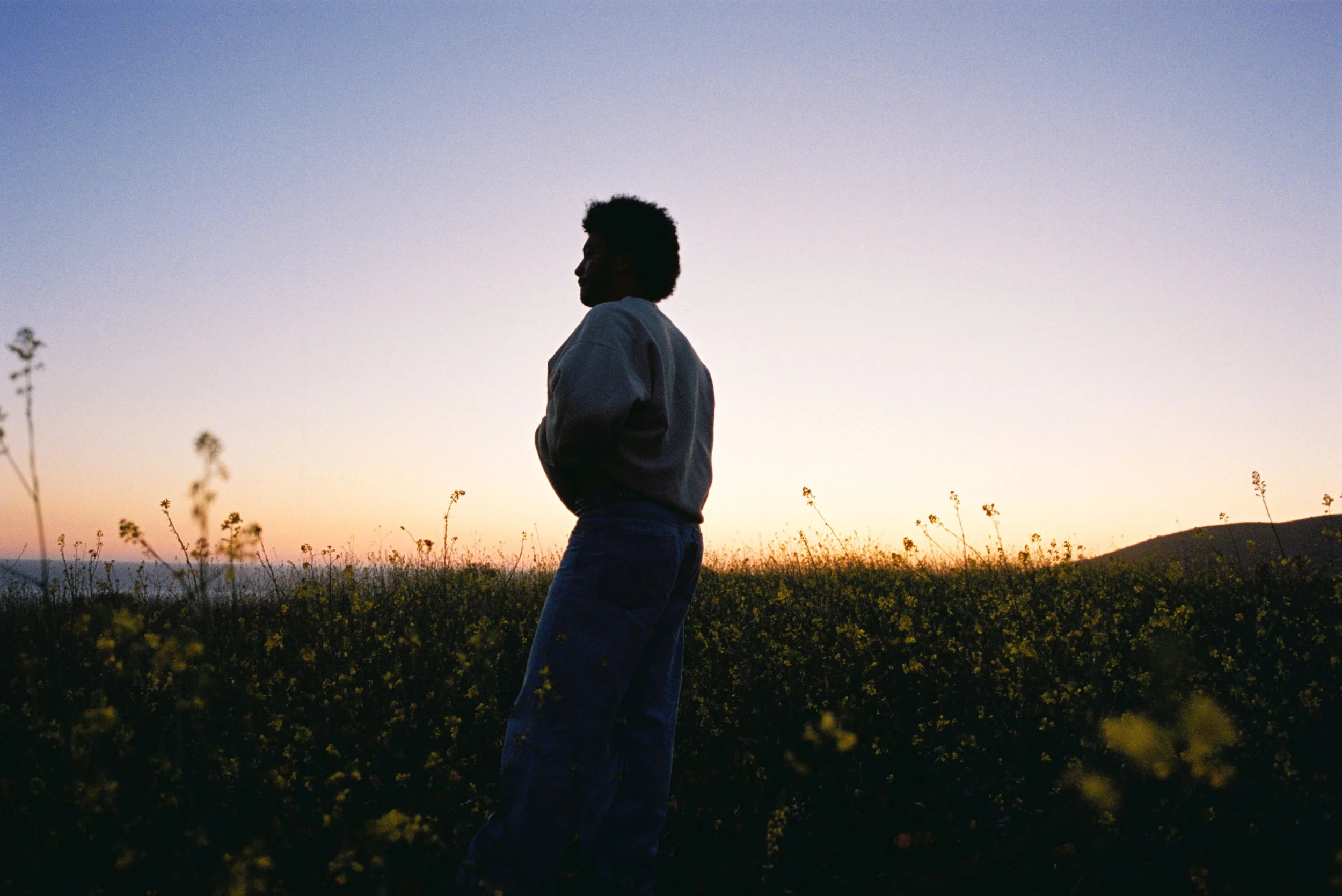 IMG3845-R01-033A copy.jpg