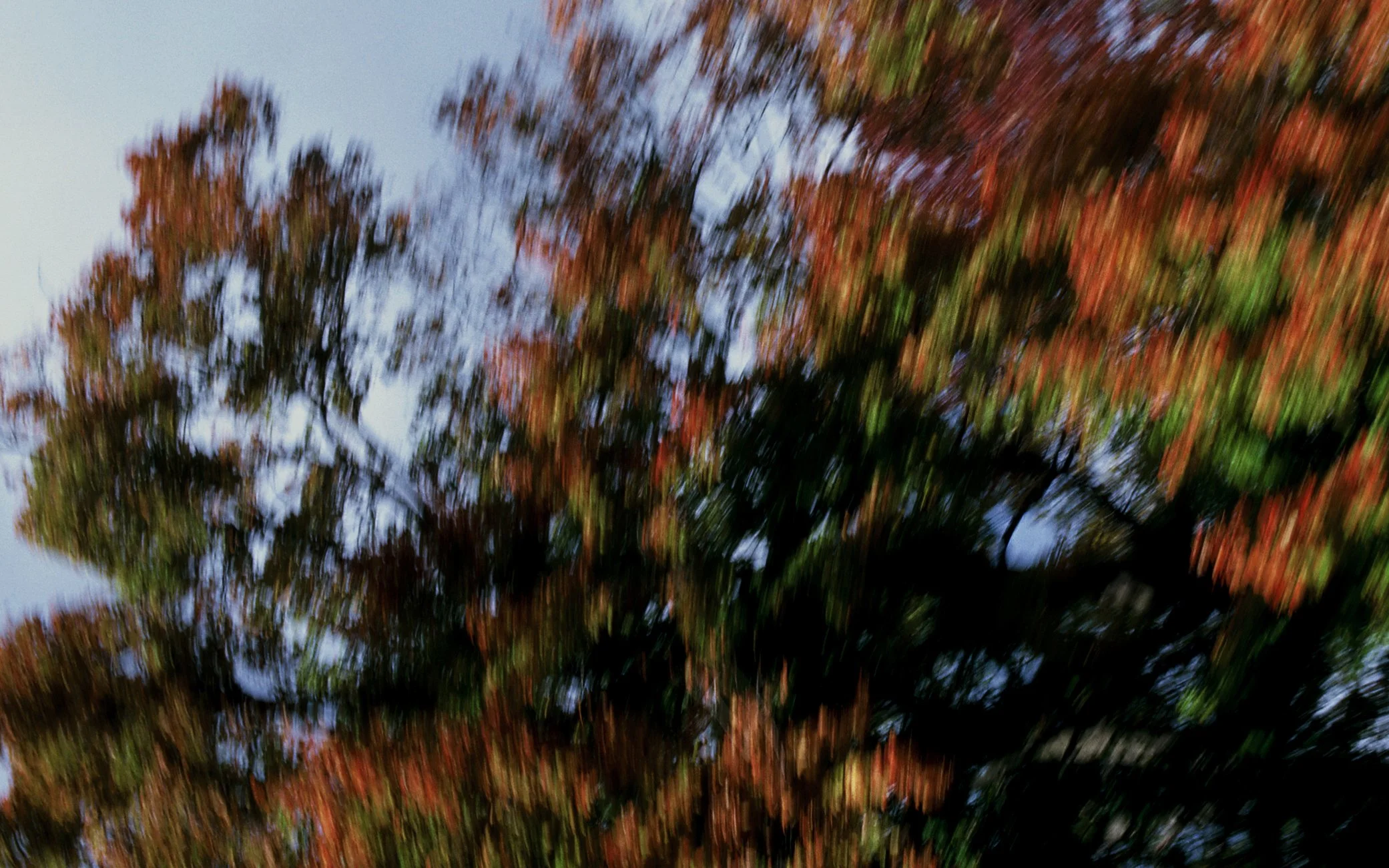 tannerd_tannerd-R1-E021 copy 2-2.jpg