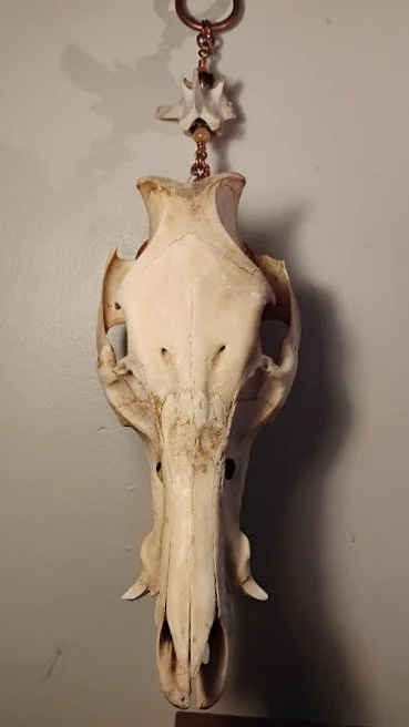 BoarSkullHanger3.jpg