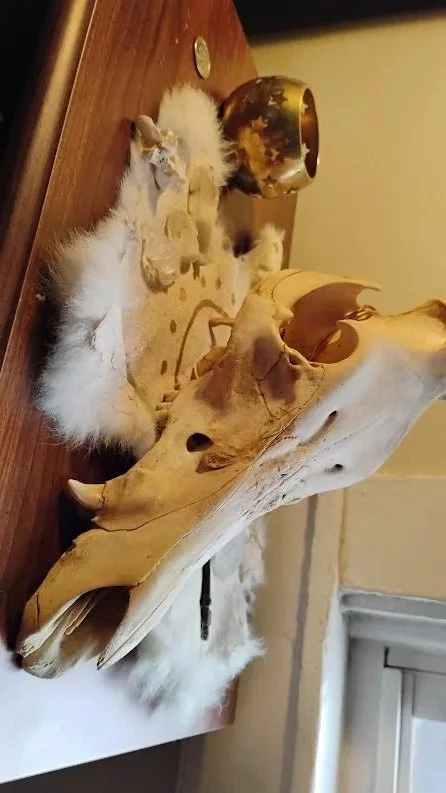 BoarSkullHanger5.jpg