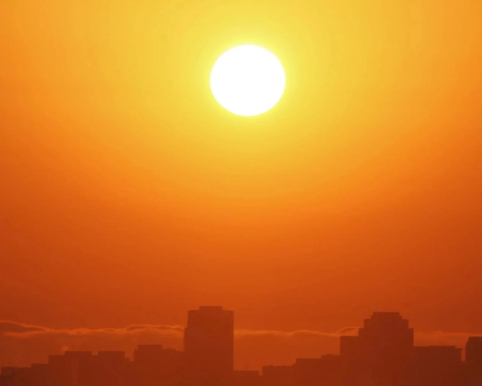 Wildflower Psalm - Poem by Mariana Mosli